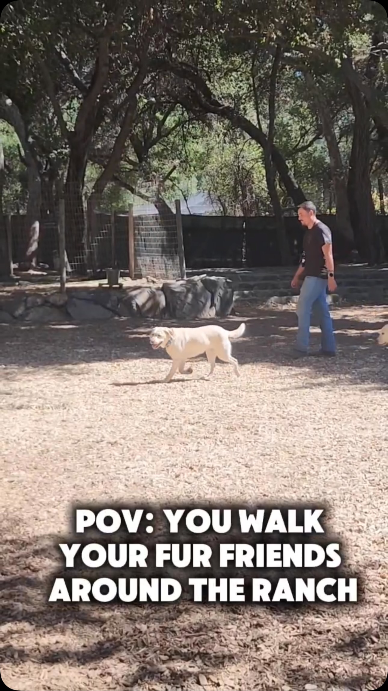 Walkie time.
#ocdogranch #dogtraining #dogboarding #obedience #bootcamp