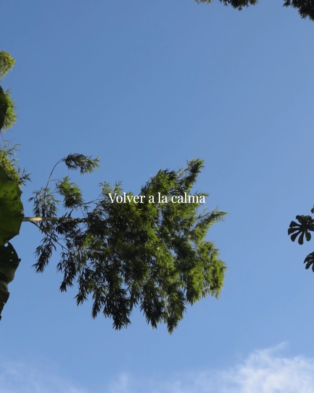 Es tiempo de volver