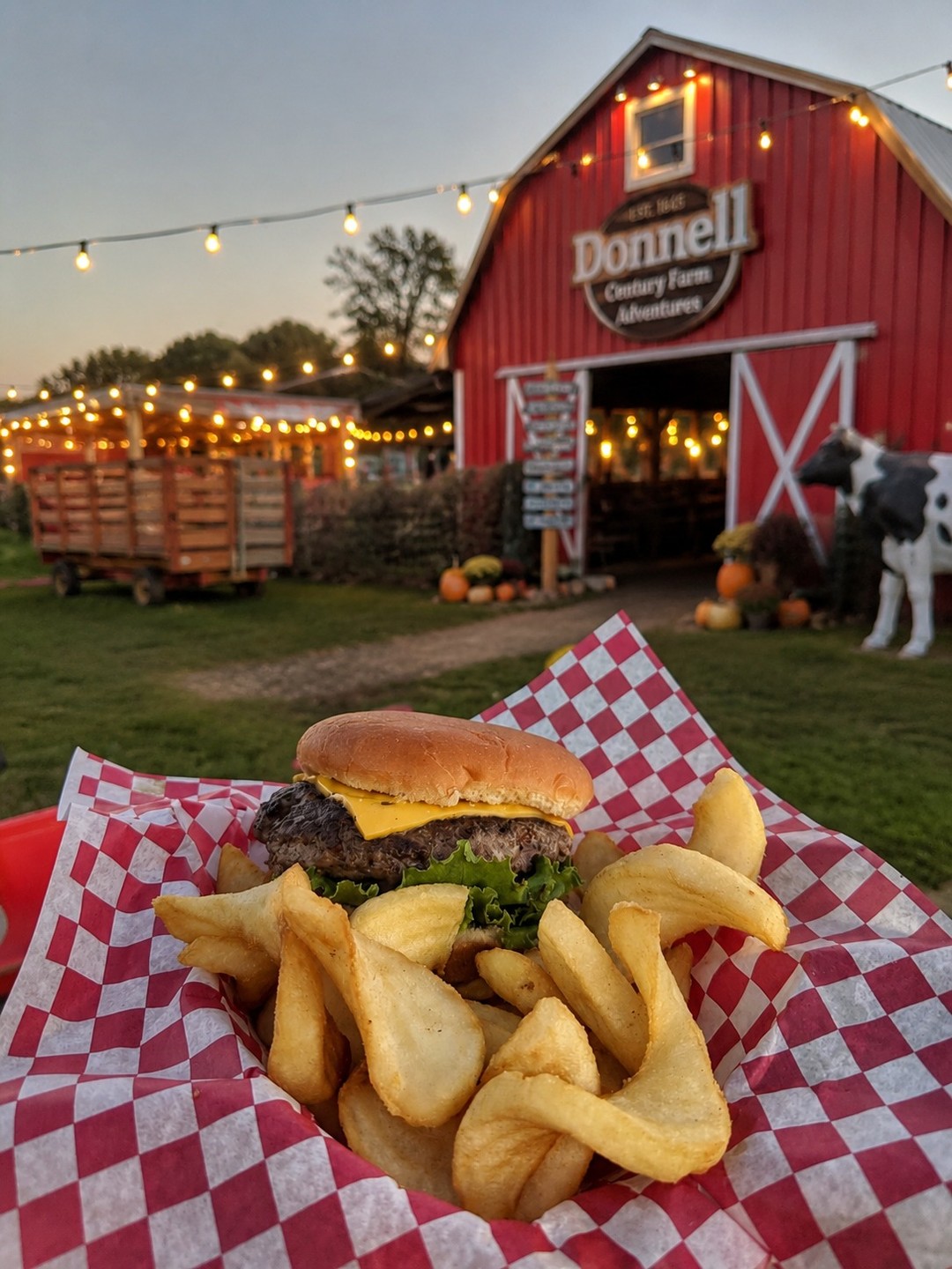 Only $12.95 for Tennessee Pumpkin Fest?! 🎟️🎃 Yeah… we kind of went overboard on our Flash Sale price!
Included in that $12.95 ticket? Mega Slide. Flower fields. Jumping pillows. Live music. Pumpkin displays. A MASSIVE corn pit. Rock climbing wall. Obstacle course. Trike track. Maze. Candy Cannon. Pig races. Cow train. Photo ops. And SO much more.
And NEW this year? Stunning pumpkin displays, cozy fall nights + extended hours. 🌙✨
⚡ Flash Sale is only 3 weeks away (Sept. 7 at 8am)
💌 Get early access at donnellcenturyfarm.com
Tennessee Pumpkin Fest begins September 26. 💛