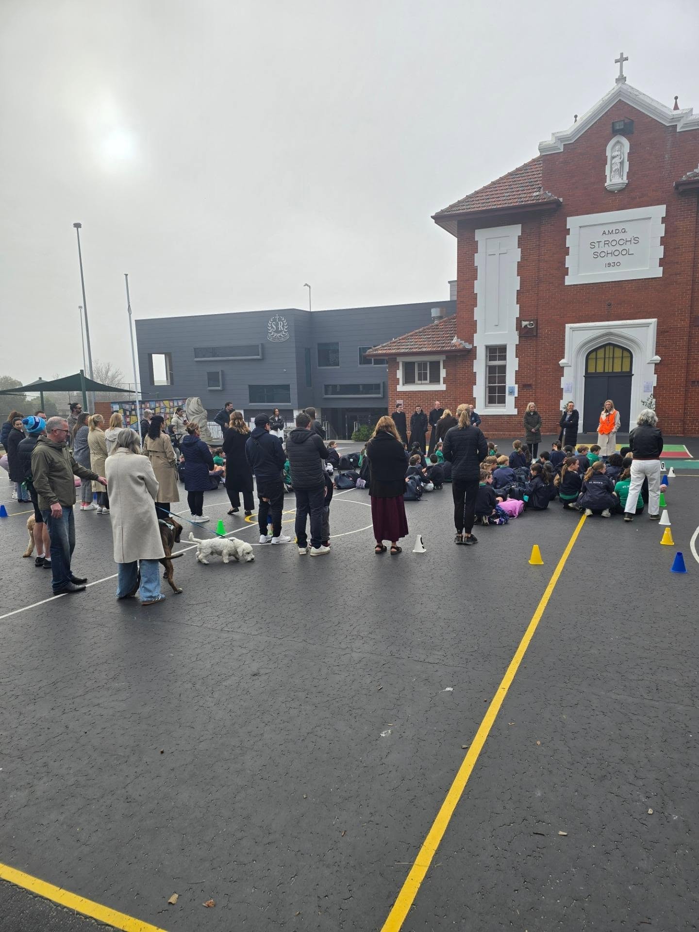 St Roch's Feast Day Celebrations in Full Swing!
Our day began with a blessing of the dogs. Followed by a Liturgy of the Word, a @kaboom_kid_sports incursion and ended with our students enjoying an icy pole!
A truly wonderful day enjoying each others company, remembering our patron saint and celebrating how special it is that we are a community who have come together to honor the virtues of St Roch.
Stay tuned for more content tomorrow...
#Commuinty #melbournecatholicschools #strochsgleniris #stroch
@melbournecatholicschools