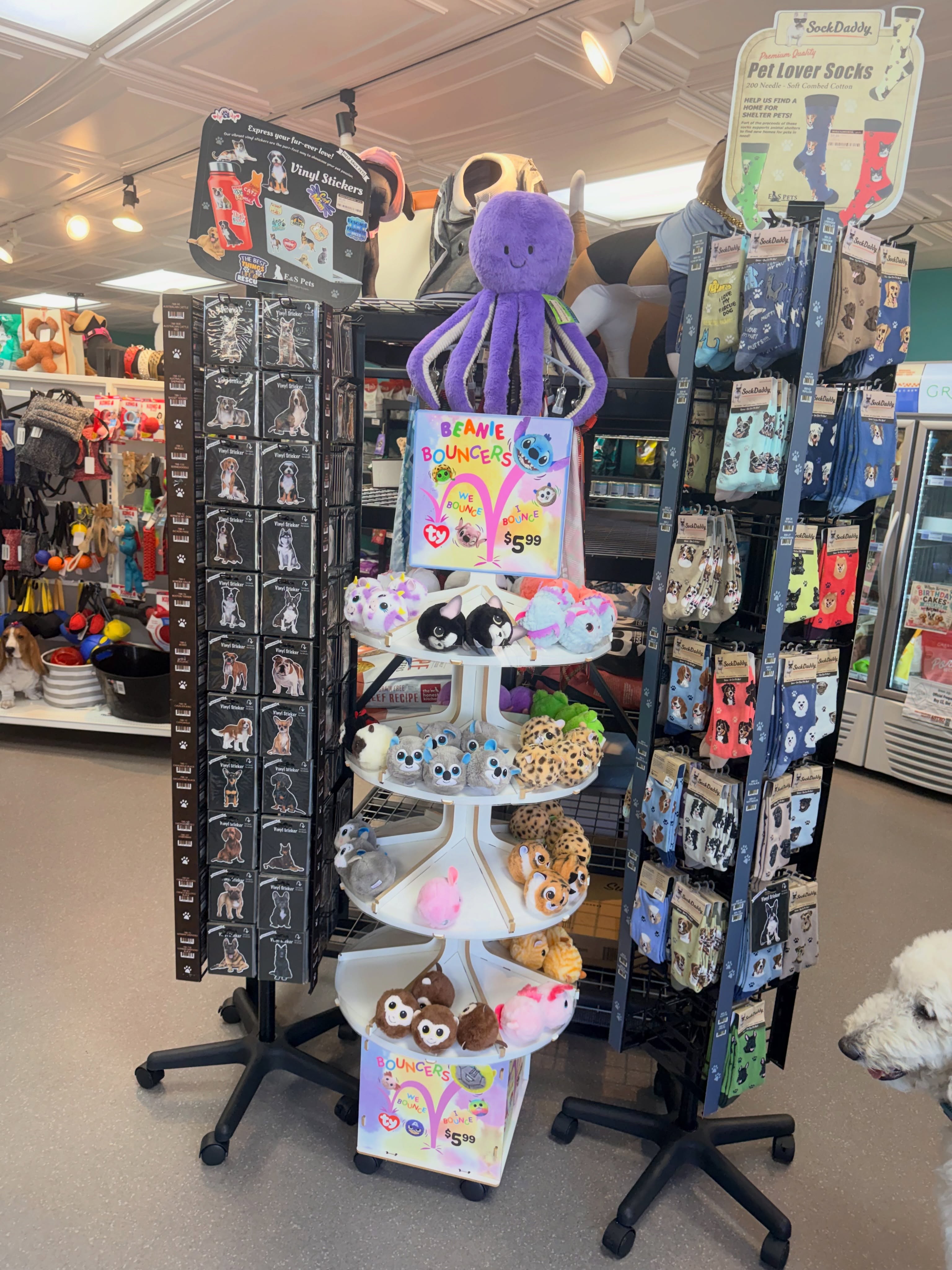🐾 Your dog’s new favorite toy was originally made for kids! 😂
These adorable TY Beanie Bouncers—made by the creators of Beanie Babies—have quickly become a favorite with our four-legged shoppers! Dogs absolutely LOVE chasing, bouncing, and carrying them around. 🐶💨
Amazon sells them for $14.99—but at Wiggle Rumps, they’re only $6.99!
While you’re here, check out our fun pet-lover socks for humans and our adorable dog and cat vinyl stickers. There’s something special for pets and their people!
Come visit Wiggle Rumps—where every visit ends with a happy little wiggle! 💜🐾
#WiggleRumps #ShopLocal #CastroValley #DogToys #PetLovers BeanieBouncers PetShop HappyLittleWiggle