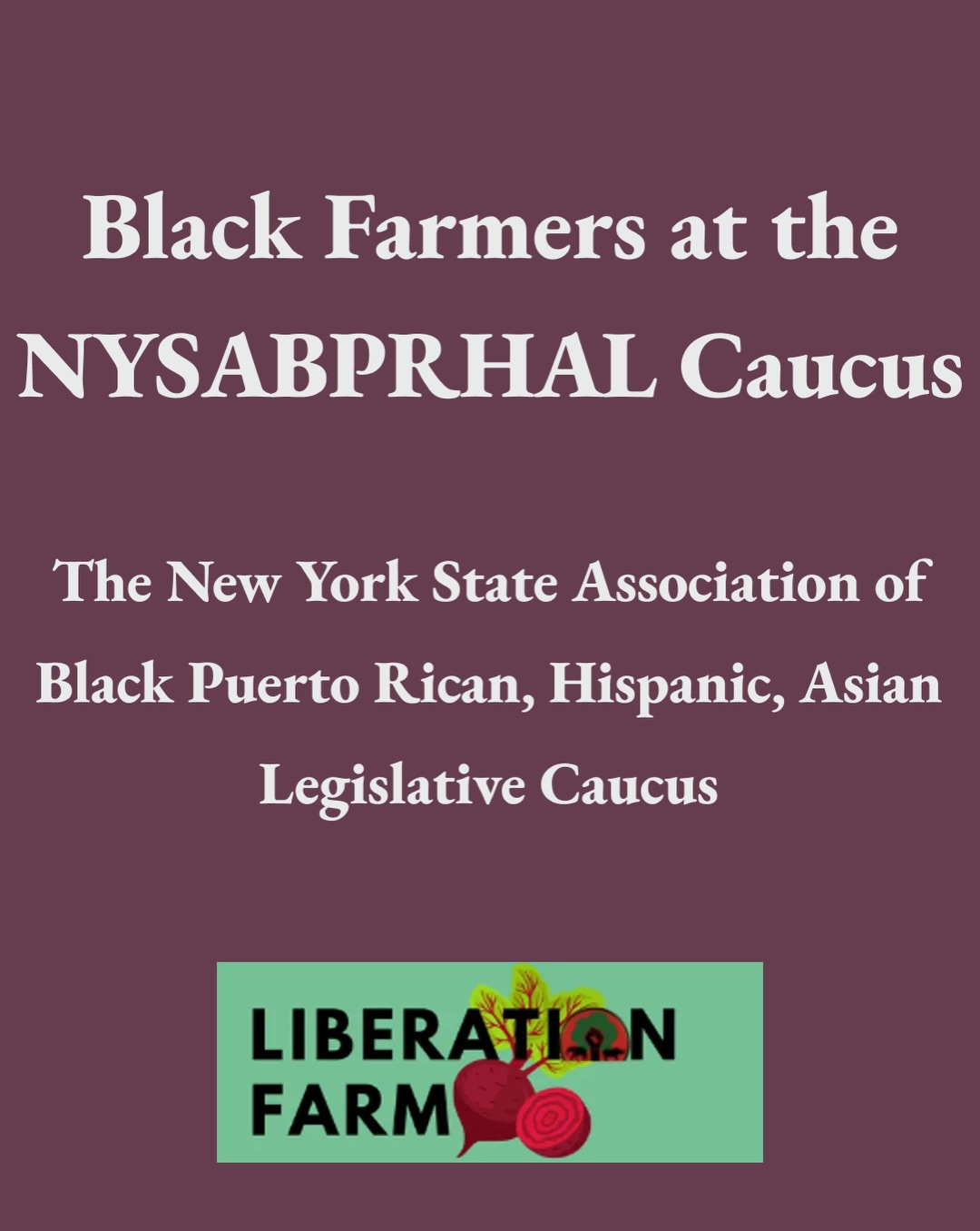 Thank you @omowaleadewale and @liberationfarmnys for the recent article detailing three priority recommendations that came out of the 55th Annual New York State Association of Black, Puerto Rican, Hispanic, Asian Legislative Causus.
We at @the_natural_farmer are grateful to feature this article and your story of building a regenerative and cooperative farm community in the Hudson Valley to address food sovereignty and farmland equity in NY and beyond.
The full article is now available at thenaturalfarmer.org
An additional shoutout to @blackvegfest for bringing the people together in celebration!
- @the_natural_farmer
.
.
.
#foodsoverignty #CSA #farming #regenerative #regenerativefarming