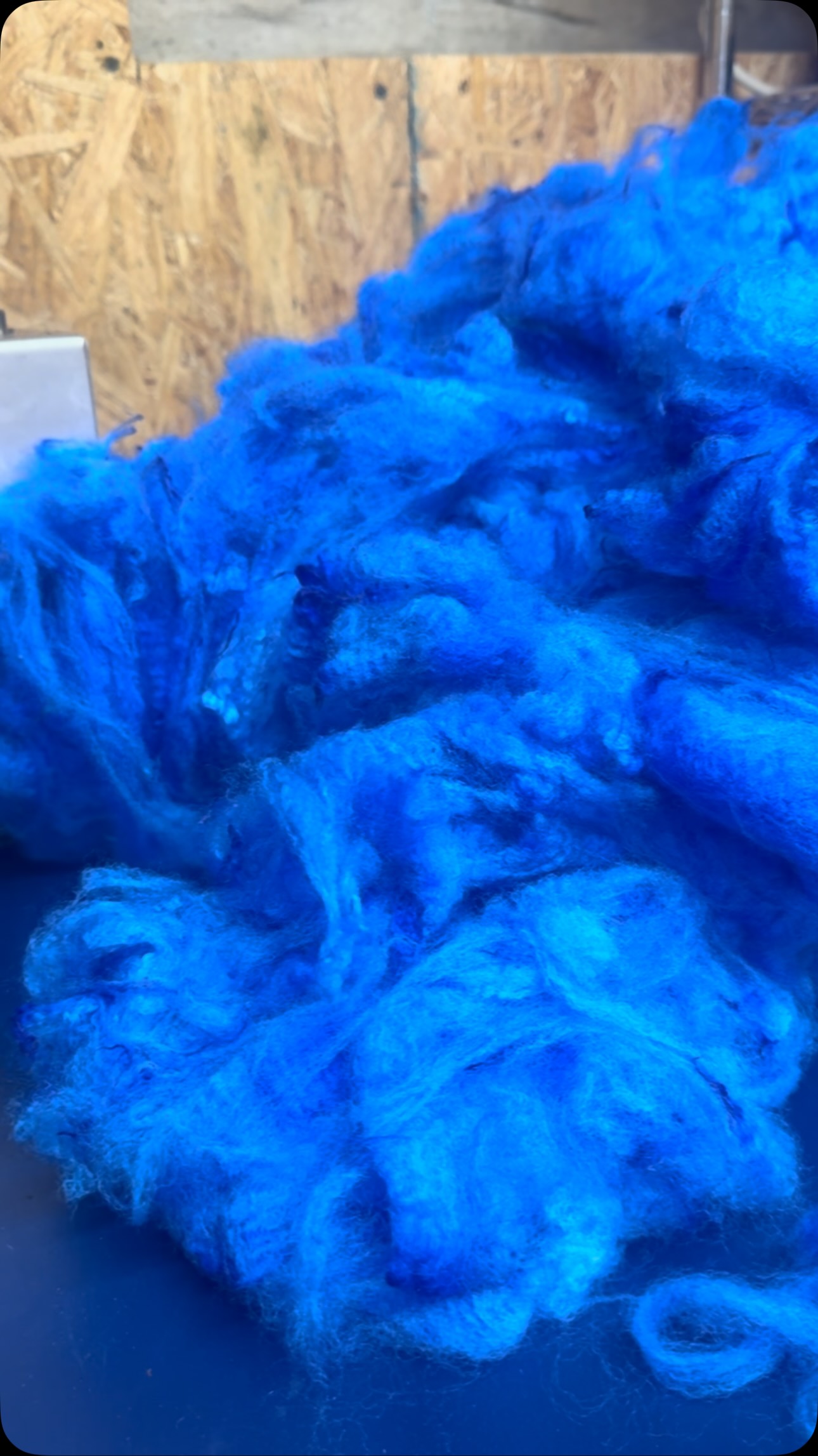 By the time I called it quits last night I was a little delirious and had this song on repeat but I'm so happy with how this blue color came out its perfect for our @nystatefair Exlusive Gnome - you will be able to get your kit at The Wool Center & Sheep Barn presented by the Empire Sheep Association!
#nystatefair #hvtextileproject #needlefelting