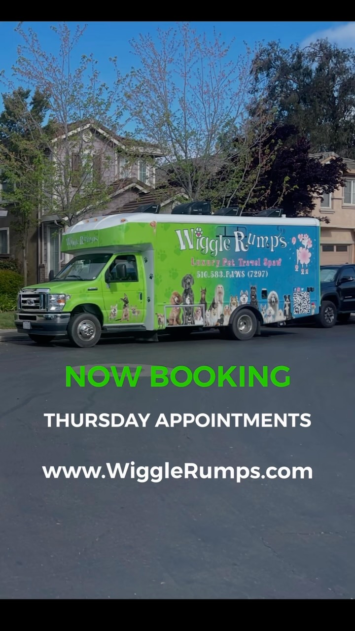 🚐🐾 Skip the stressful car ride and let the Spaw come to you!
We’re excited to announce that we are now booking NEW THURSDAY APPOINTMENTS for our Wiggle Rumps Luxury Travel Spaw! Samuel and Katrina bring gentle, professional grooming directly to your home—or even your workplace.
Mobile grooming is perfect for:
🐾 Nervous or anxious pets
🐾 Elderly pets
🐾 Busy families
🐾 Pets who prefer a calmer, more personal grooming experience
Our Luxury Travel Spaw is available Tuesdays, Thursdays, and Fridays in Castro Valley, San Lorenzo, San Leandro, Hayward, Dublin, Pleasanton, Ruby Hill, and Blackhawk.
Thursday appointments are now available—reserve your pet’s Spaw day before they fill up!
🌐 www.WiggleRumps.com
Choose Wiggle Rumps, where every visit ends with a happy little wiggle! 💚🐶
#WiggleRumps #MobileDogGrooming #LuxuryTravelSpaw #CastroValley SanLeandro SanLorenzo Hayward DublinCA PleasantonCA RubyHill BlackhawkCA #MobileDogGrooming