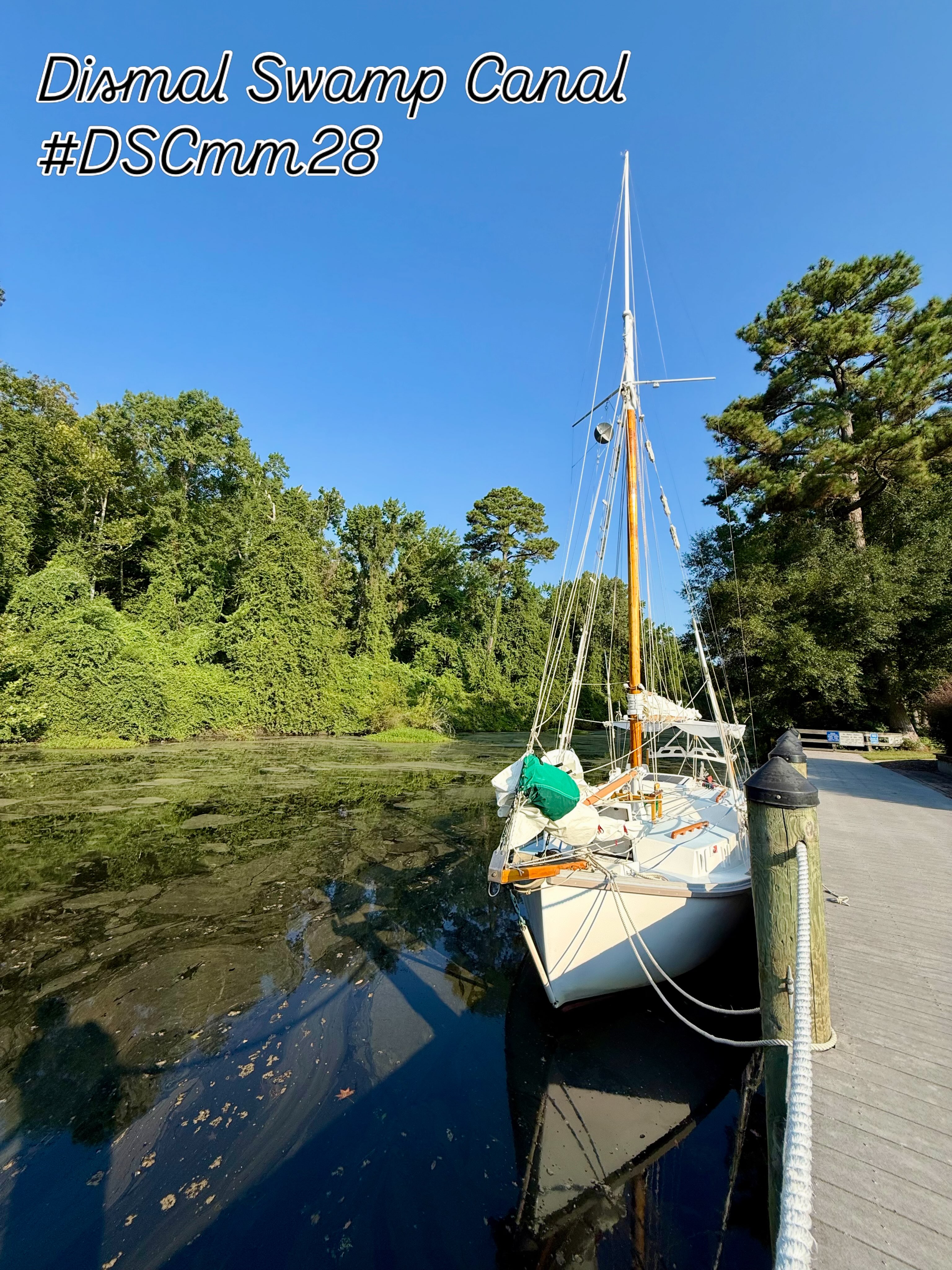 ⛵️💚Thank You #svideath for choosing the #dismalswampcanal once again! Safe travels travels, we hope to see you on the canal again ⚓️⛵️