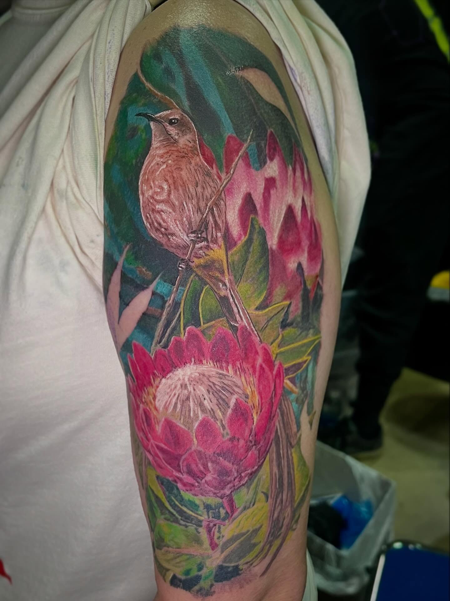 Beautiful color piece by Lenny Paul. Stop in and schedule your next tattoo today!
#cantontattoos #theinkeeperstattooparlor #ohiotattooartist #inkeepers @theinkeeperstattooparlor @inkbylennypaul
Artist: Lenny Paul @inkbylennypaul
