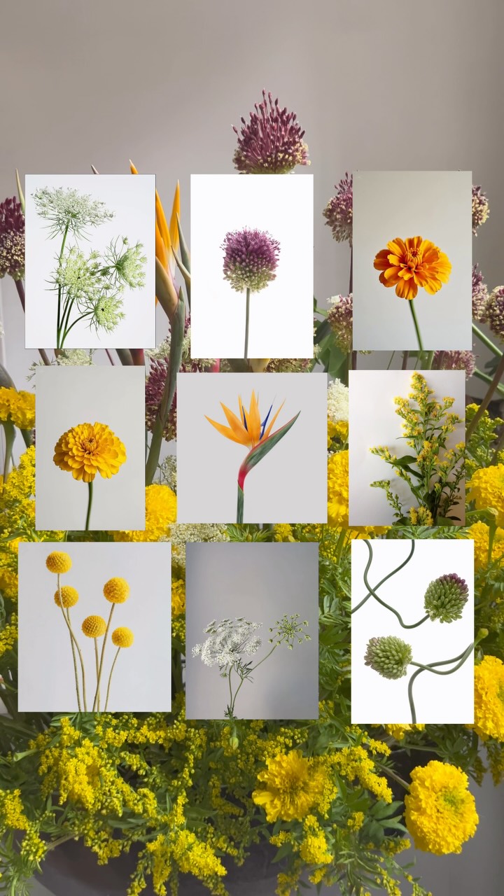 Flower puzzles on one of our weekly flower arrangement for hotel andaz 💛
💛Same day delivery across NYC, Long Island, and New Jersey
💛Order via phone, email or website
💛Visit our website: luxluf.com
#flowers #floraldesigns #flowerarrangement #yellowflowers #nycflorist