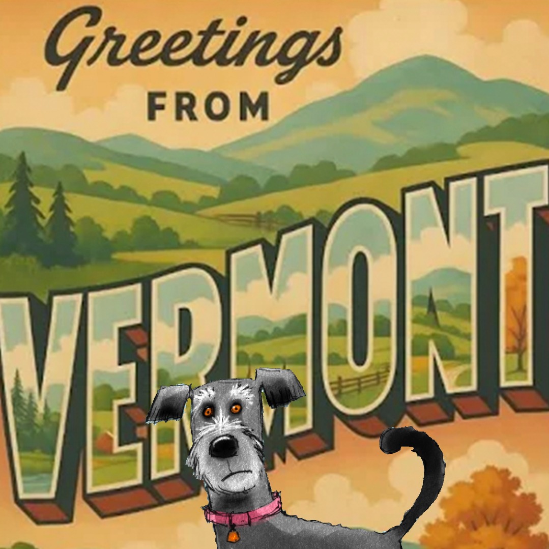 "Greetings from Vermont! 🐾 Even miracle dogs need a vacation. Grizzly's Birthday Miracle — link in bio."
#grizzlysbirthdaymiracle #greetingsfromvermont #vermont #grizzly #childrensbook #kidlit #lesliebeing #dogsofinstagram #grizzlyonvacation #bookstagram