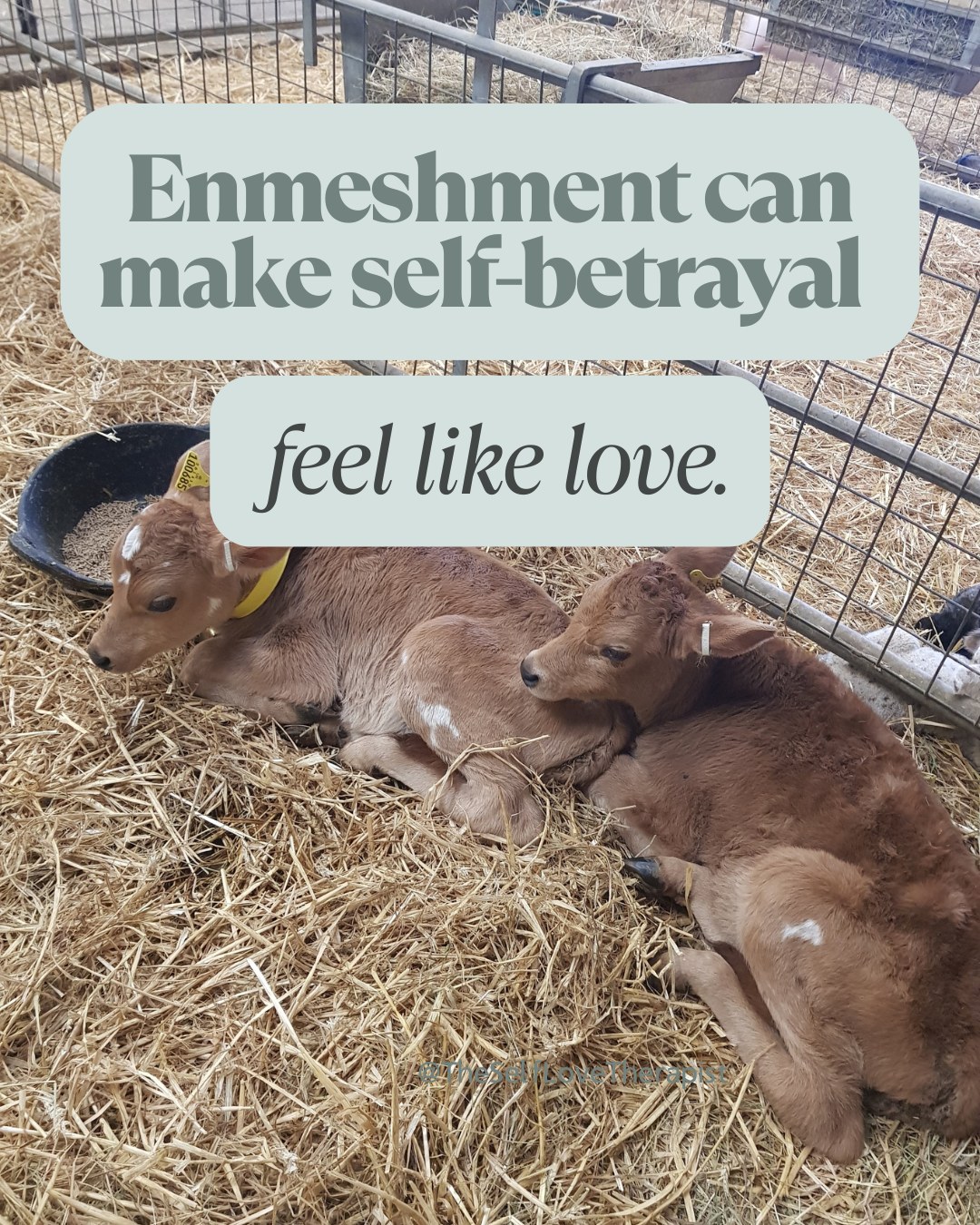 Enmeshment can make self-betrayal feel like love.
In some families, loyalty becomes intertwined with responsibility. You learn to prioritise other people's feelings, keep the peace, and carry emotional burdens that were never yours to hold.
As you get older, saying no can feel selfish, having needs can feel uncomfortable, and making choices for yourself can bring guilt.
These patterns are often shaped by family dynamics, cultural expectations, and the ways people have learned to survive and stay connected.
Loving your family and wanting more space for yourself aren't mutually exclusive. Healthy relationships can make room for both connection and individuality.
What messages about loyalty did you grow up with?
#TheSelfLoveTherapist #EnmeshmentRecovery #FamilyDynamics #PeoplePleasingRecovery #EmotionalBoundaries
