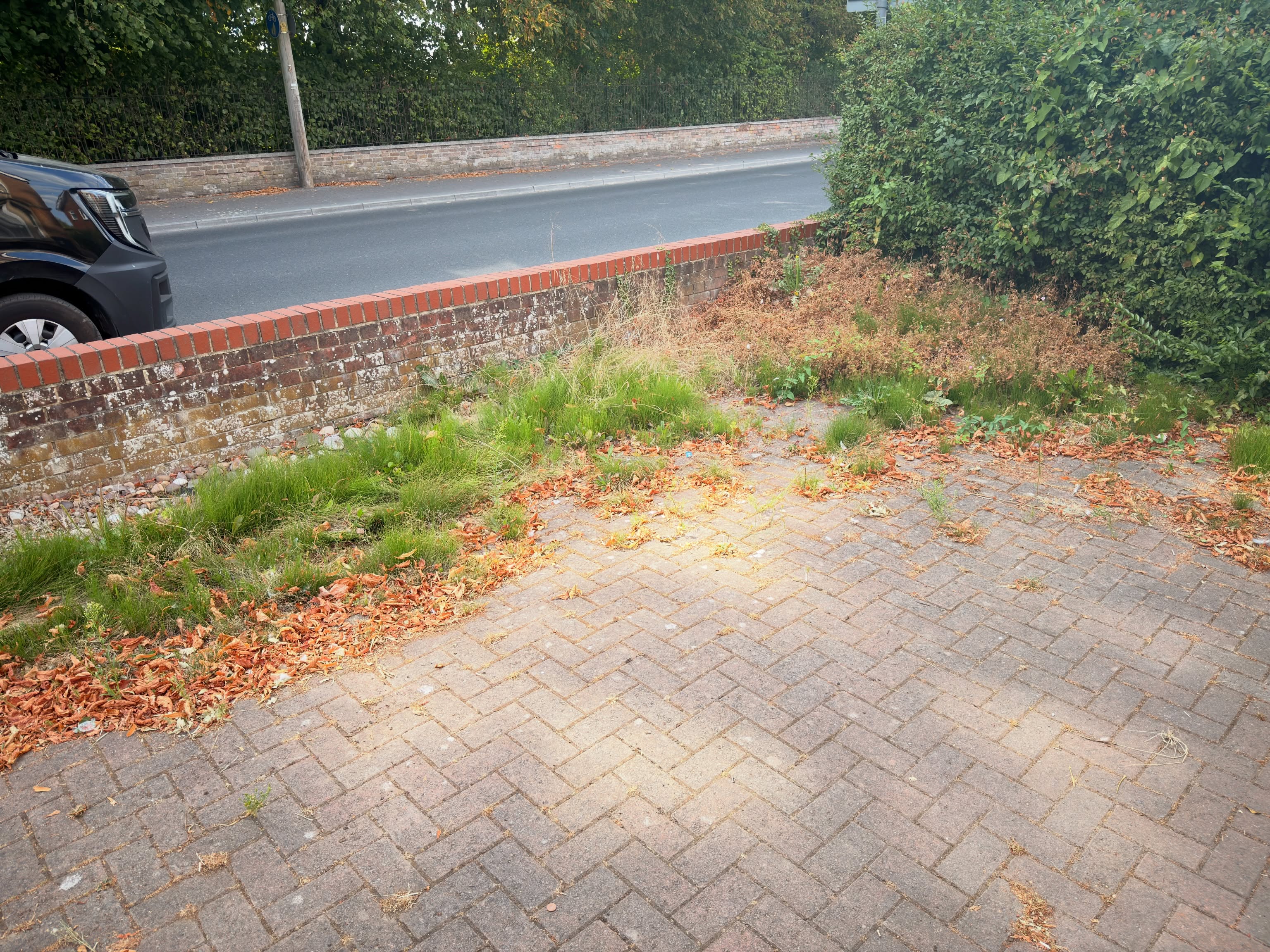 🌿 Before & After 📸 — Weed Control! 🌿
Now that’s satisfying! 😍👌
This driveway had become seriously overrun with weeds, so our team got stuck in and cleared it all back, removing the weeds from the edges, cracks and surrounding areas to give the driveway a much cleaner and tidier appearance. 💪🌱
Once everything was cleared, we finished the job with a targeted weed-control treatment to help keep those unwanted weeds under control for longer. 🌿🚫
It’s amazing what a difference a good weed clearance can make! The driveway instantly looks cleaner, sharper and much easier to maintain. ✨
Swipe across to see the before & after and check out the transformation! 👀➡️
If your driveway, paths, patios or garden areas are becoming overrun with weeds, get in touch with the M.J.B Group team! 🌿
M.J.B Group Ltd
Tree & Garden 🌳
📱 01225 - 941139
📧 info@mjbgroup.co.uk
💻 www.mjbgroup.co.uk
#WeedControl #GardenMaintenance #DrivewayCleaning #GardenCare #WiltshireBusiness
