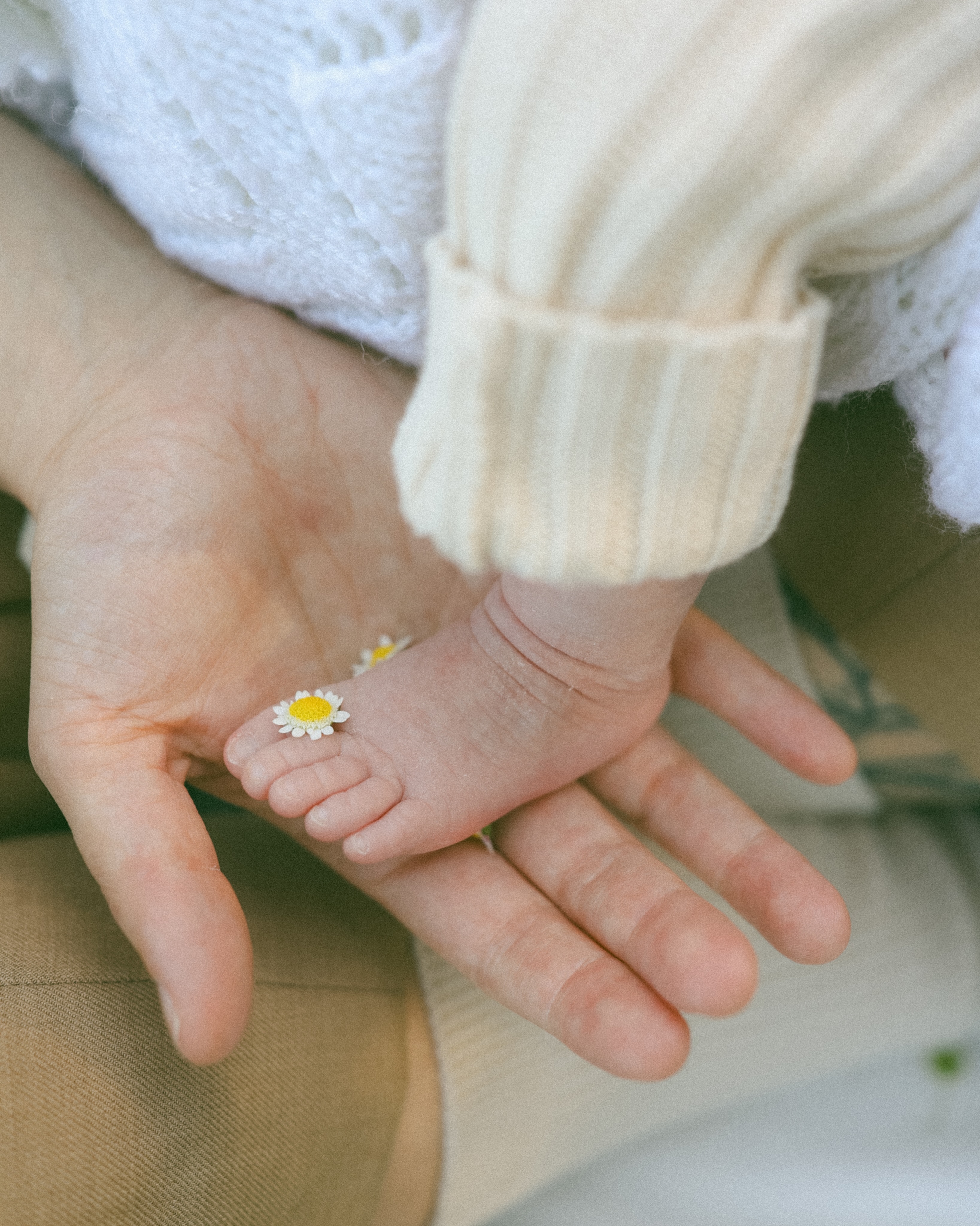 There is something so beautiful about watching a family grow 🌼
A new little person to love, tiny hands to hold, and those fleeting moments of having your whole world gathered together in one place.
The sweetest kind of chaos, the softest kind of love, and memories they’ll one day look back on and wish they could step inside again.
#perthnewbornphotographer #perthfamilyphotographer #filmphotographer #longislandnewbornphotographer