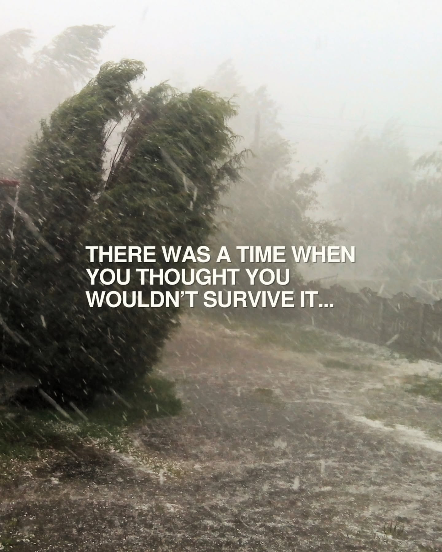 You’ve made it through things you once thought you wouldn’t survive—but healing doesn’t really happen in a straight line.
Some days, you feel strong.
Other days, it hits you like a truck.
That doesn’t mean you’re going backward. It means your brain and body may need consistent support—not more pressure to “just get over it.”
Feeling better isn’t an accident.
It’s a practice. You need a plan.
Start building your mood-lifting plan with simple, supportive tools that help you feel more grounded, energized, and resilient—one day at a time.
Comment MOOD and I’ll send you my free mood-lifting training.
Save this for the difficult days, and share it with someone who needs the reminder: you’re still making it through. 🤍
#mentalhealth #selfcare #motivation #wellness #mindfulness