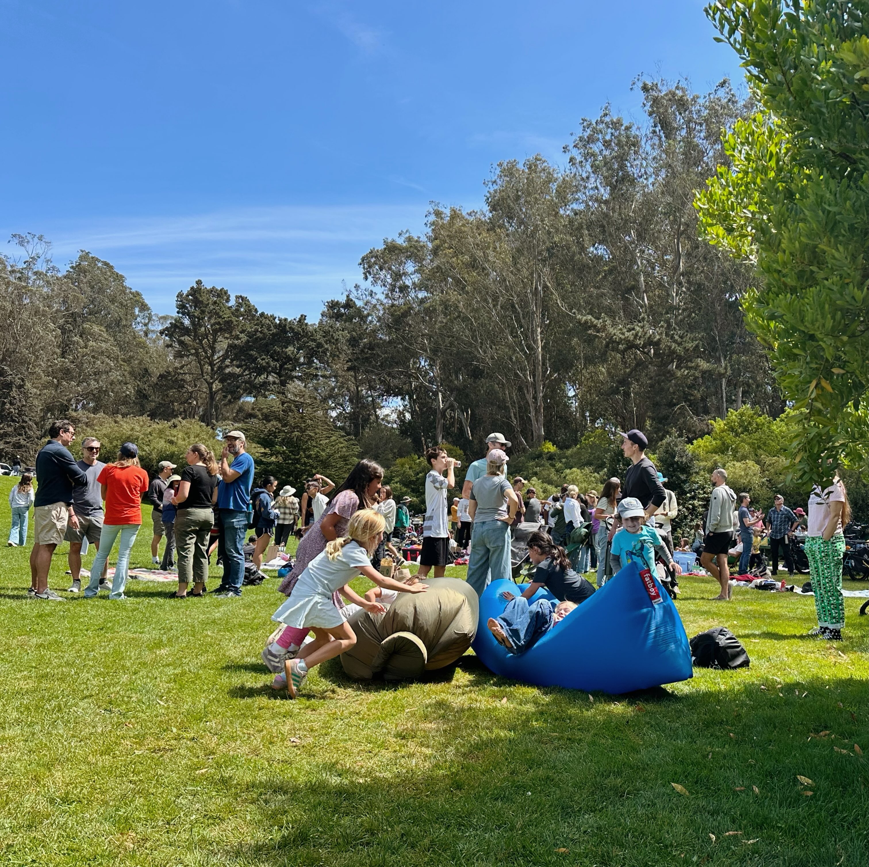 Welcome Back Picnic today at Lindley Meadow