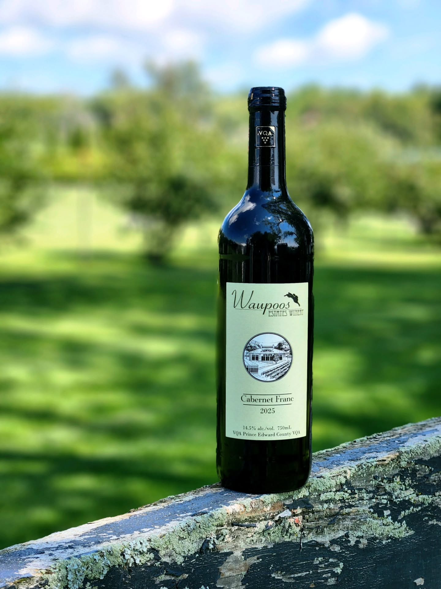 Cabernet Franc 2025 has arrived.
A beautiful showcase of cool-climate Cabernet Franc, the 2025 vintage opens with bright aromas of raspberry, black cherry, and red currant, layered with toasted oak, vanilla, and a subtle touch of cedar.
Vibrant acidity and firm tannins bring structure and balance, making this a bold yet refined red that’s ready to enjoy.
Pair it with: grilled steak, herb-roasted lamb, mushroom risotto, or pasta with a tomato-based sauce.
Available now in the boutique.
#WaupoosWinery #CabernetFranc2025 #PrinceEdwardCounty #PECWine #OntarioWine