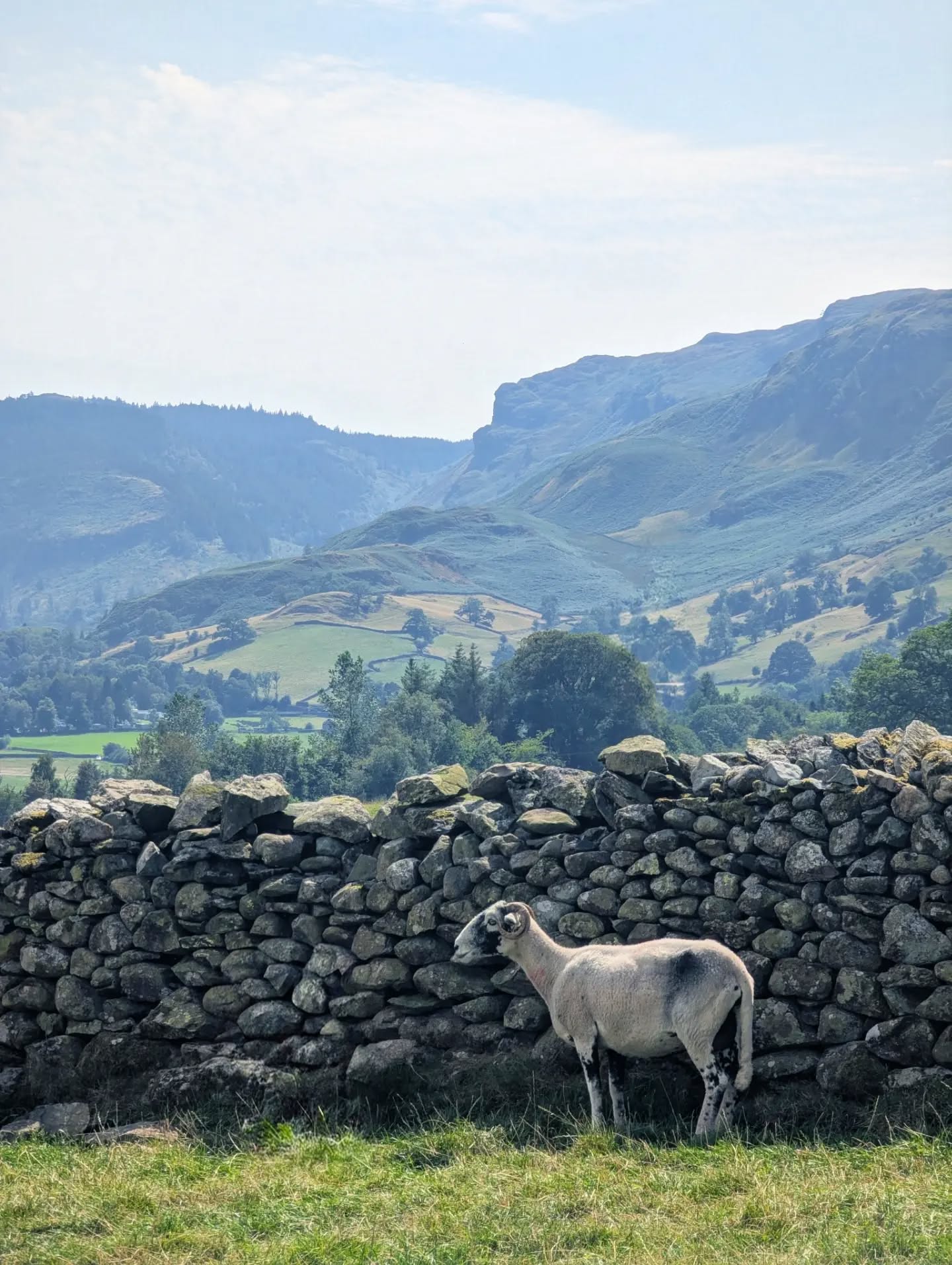 Lake District ❤️🐐