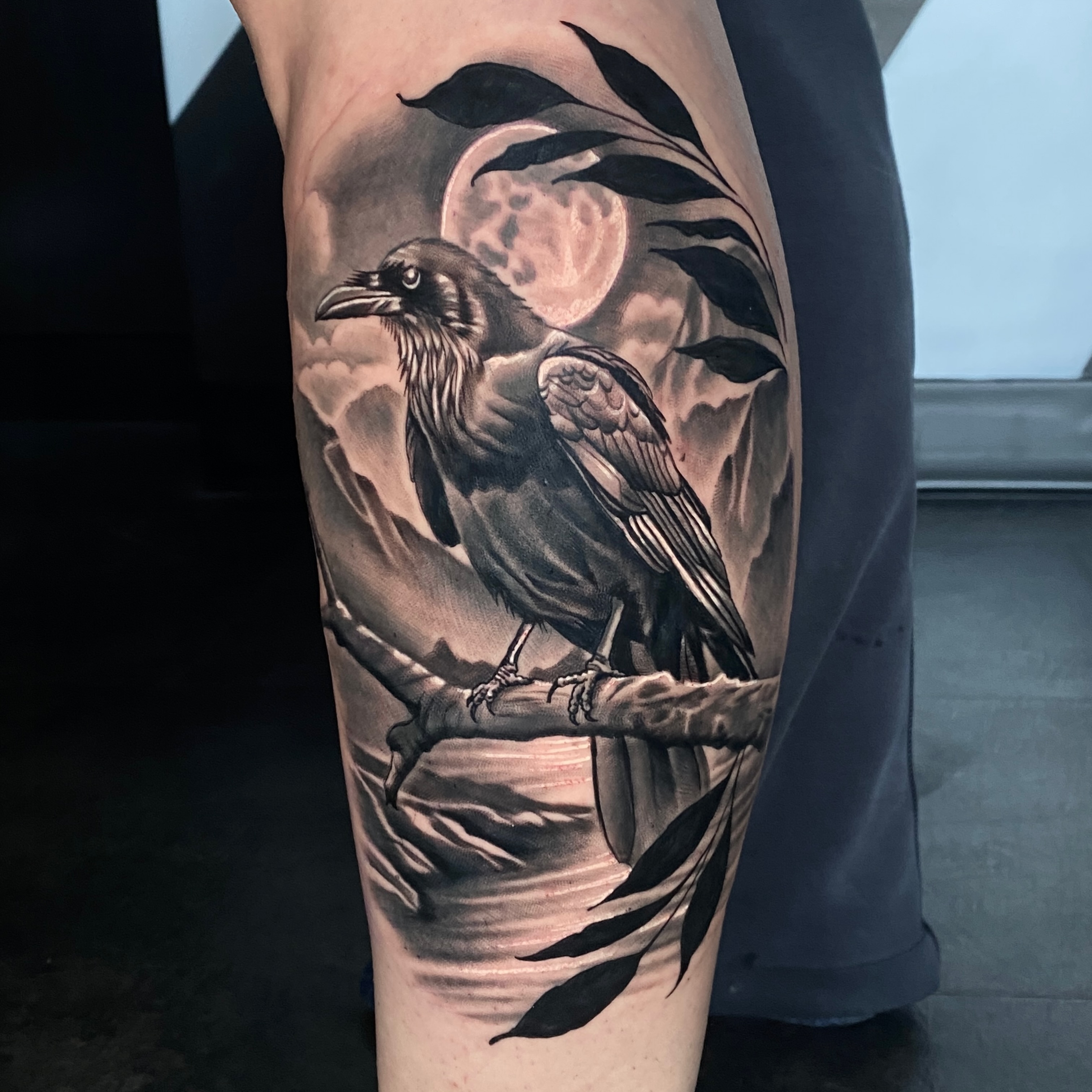 Great day making this with @samanthamcdowe03 !
This piece embodies the simplicity and focus I am trying to bring to all tattoos. The main subject is clearly in focus and framed in by the leaves while the background is soft and light enough to avoid distracting the viewer.
.
.
Follow @scottie.tattooer
And @fortunesfavourtattoo
.
.
#raventattoo #crowtattoo #birdtattoos #birdtattoo #birdtattoodesign