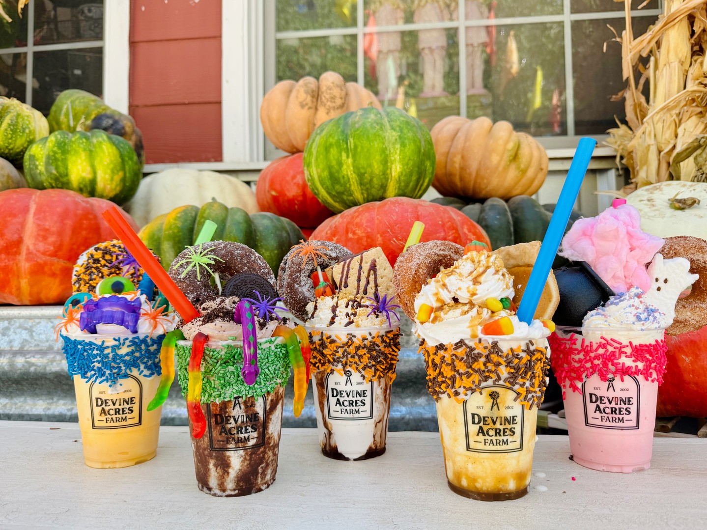 ๐ Now that we've got your attention... our FLASH SALE is live for a limited time!
Don't wait! Tickets go fast, y'all!
๐๏ธ devineacresfarm.com/fall-admission