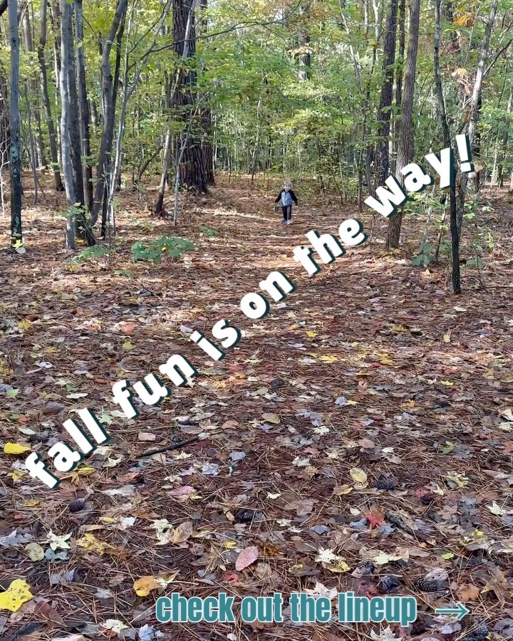 Fall registration is open!
There are few things we love more than watching students come back to the woods every week. They make friends, find favorite places, notice things the adults walk past, and slowly start to know a little patch of the world as their own.
We have a magical fall planned, and we’d love for your family to be part of it.
Classes for babies, preschoolers, and big kids in Raleigh, Wake Forest, and Wendell.
Save your spot now. Some classes will fill quickly!
Link in bio