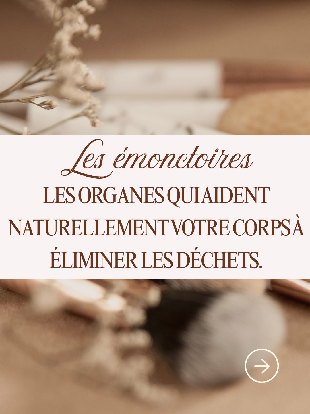 Les émonctoires : ces précieux alliés de notre organisme 🌿
Foie, reins, intestins, poumons, peau…
Notre organisme possède naturellement plusieurs voies permettant de transformer, filtrer et éliminer les déchets dont il n’a pas besoin.
On les appelle les émonctoires.
Mais attention : parler d’émonctoires ne signifie pas qu’il faut chercher à « détoxifier » son corps à tout prix. ✨
Notre organisme possède déjà ses propres mécanismes d’élimination.
L’objectif est plutôt de soutenir son fonctionnement naturel grâce à une alimentation équilibrée, une bonne hydratation, le mouvement, le sommeil et une bonne hygiène de vie.
🌿 Prendre soin de soi, ce n’est pas chercher à tout contrôler.
C’est donner à son corps les conditions dont il a besoin pour fonctionner au mieux.
Et toi, connaissais-tu les 5 principaux émonctoires ?
💬 Dis-moi en commentaire lequel tu connaissais déjà !
#emonctoires #detoxnaturelle #bienetreaufeminin #naturopathie #hygienedevie