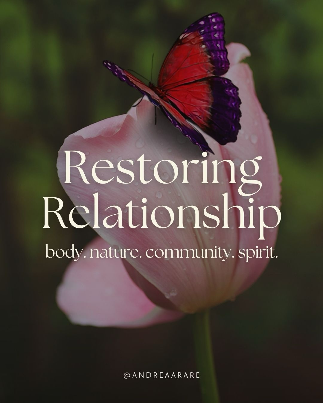 Body. Nature. Community. Spirit.
These aren’t separate areas of life.
They continually meet and influence one another. When we restore these relationships, we may begin to experience ourselves differently too. More present, more connected, more resourced, more able to participate in life.
Perhaps healing is not becoming more self-sufficient.
Perhaps it is remembering that we were never separate.
Swipe ➡️ to learn more 🍃
#naturewisdom #natureconnection #somatic