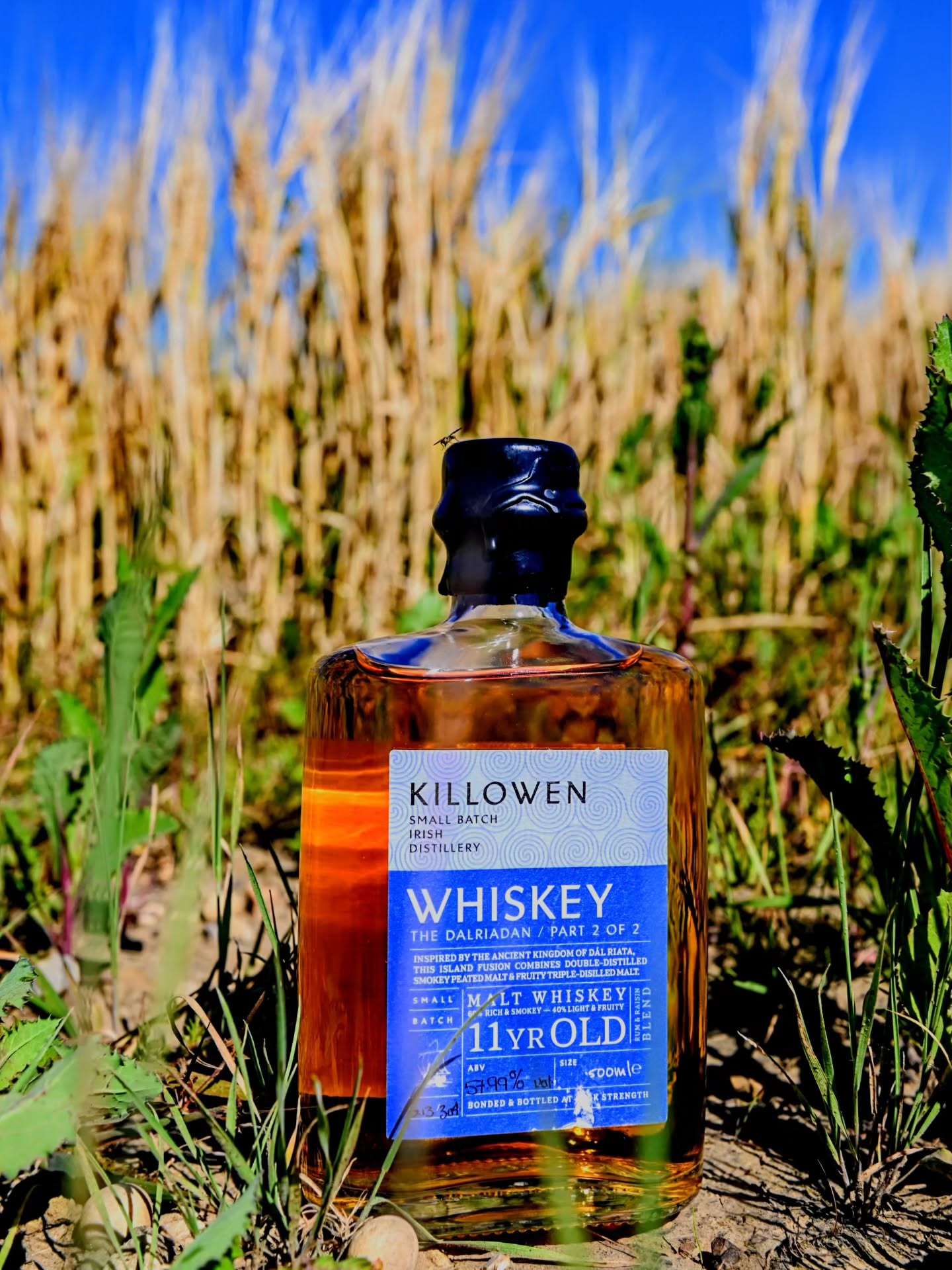 What's better? A beautiful solidly made Irish Single malt from a classic legendary distillery or a smokey peated Islay scotch Single malt?
Yes....
Why not both?
And the mad minds behind @killowendistillery agree as this is the second batch of "The Dalriadan"
An 11 year age stated "Malt Whiskey" that is a blend of
60% double-distilled peated malt from Scotland's Caol Ila distillery and 40% an 11-year-old malt from County Antrim aka Bushmills. The snokey Caol Ila is from ex bourbon casks while the Bushmills is from oloroso casks and then the two are married in the PX and rum casks Killowen uses for their rum and raisin release.
The name and blend are a nod to ancient history and the "Kingdom of Dal Riata" Dál Riata was a Gaelic sea-kingdom that flourished from the 5th to the 9th century AD. It spanned both sides of the North Channel, encompassing parts of western Scotland (Argyll and the Inner Hebrides) and north-eastern Ireland (County Antrim). The two areas this whiskey comes from.
History and modern whiskey coming together in delicious harmony.
.
.
.
.
.
#history #whisky #islay #irishwhiskey #delicious