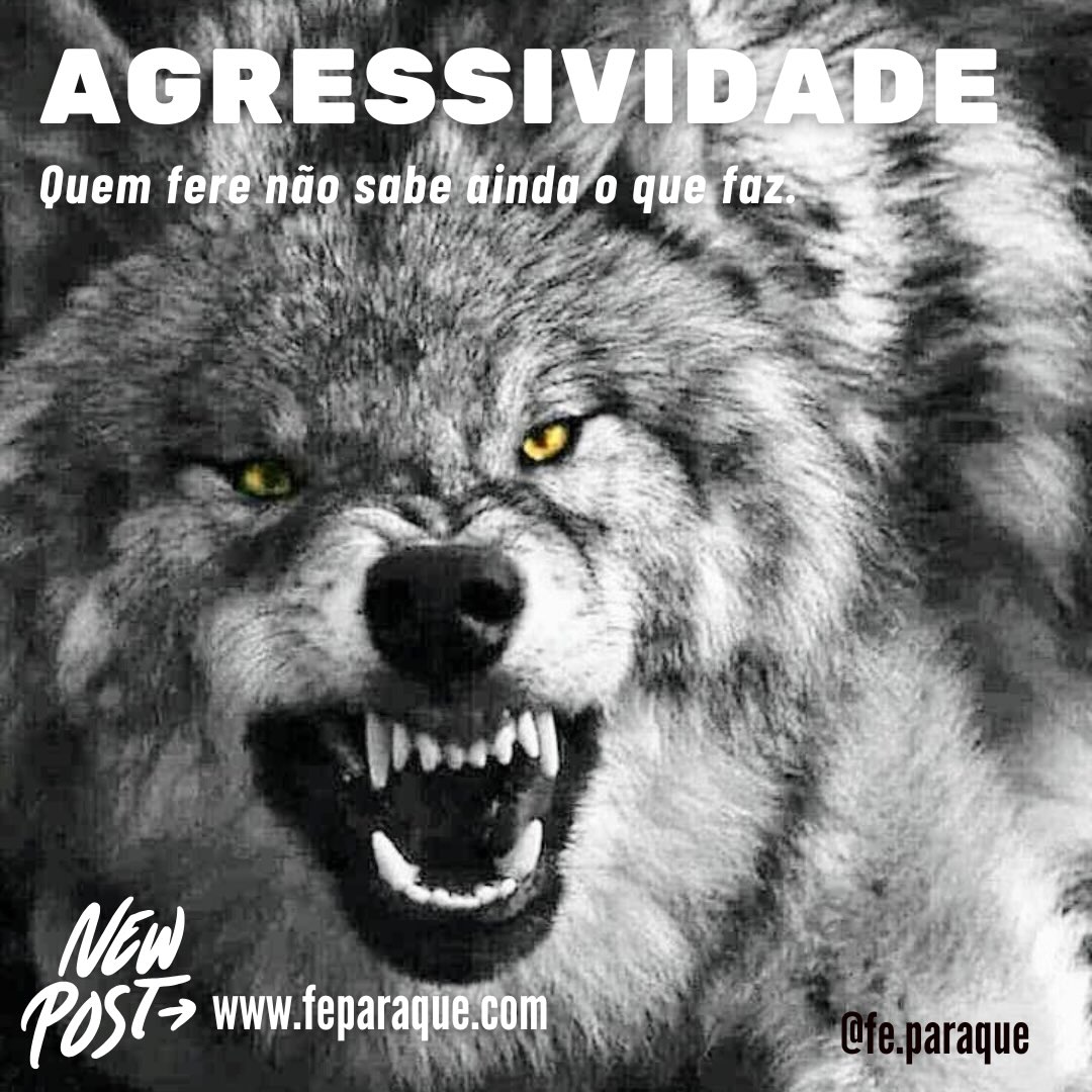 Tem post novo no blog. Espia lá!
Link nos stories. Ou acesse:www.feparaque.com
🌼