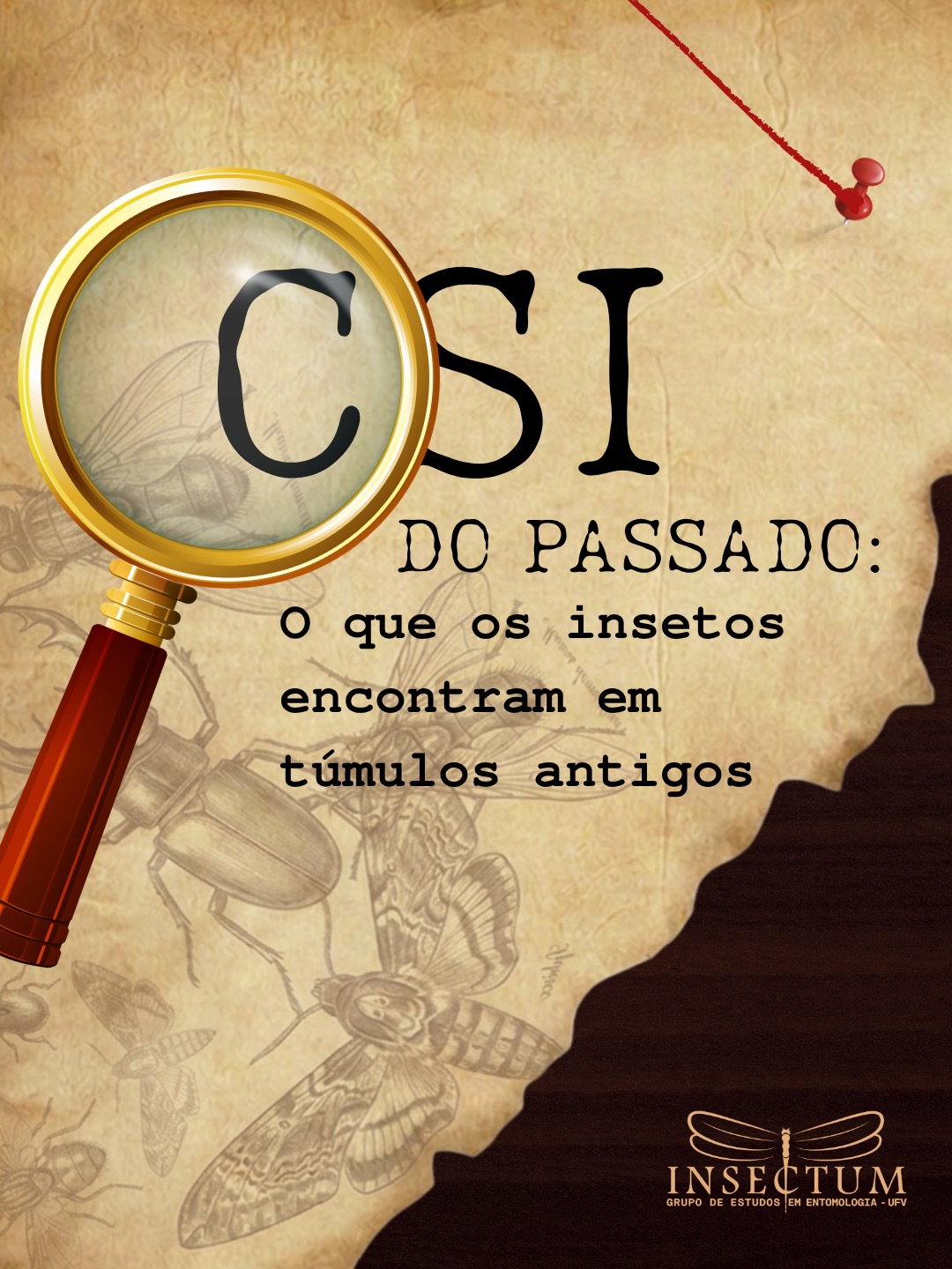 Você sabia que vestígios de insetos em sepulturas antigas revelam detalhes sobre o clima e os rituais do passado?
Venha aprender sobre a Arqueoentomologia e como os insetos ajudam na recuperação de dados biológicos históricos!