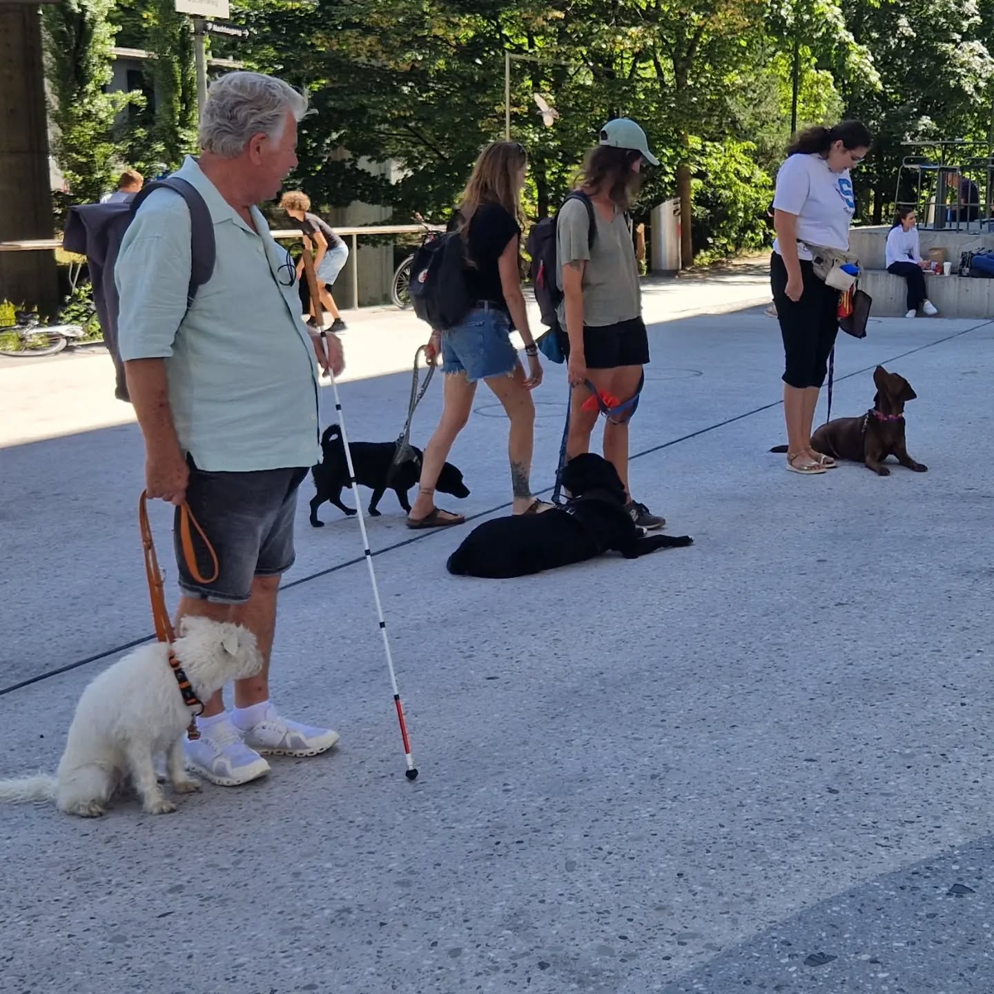 Im Gruppentraining haben einige Mensch-Hund-Teams wieder fleissig geübt 🐕🦺😊 Wie immer hat es viel Spass gemacht, danke an alle die dabei waren.
#assistenzhundeschweiz #assistenzhundeverein #assistenzhundeausbildung #assistenzhund #gemeinnützigerverein