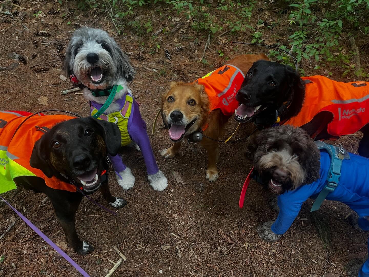 Five besties going on an adventure ❤️