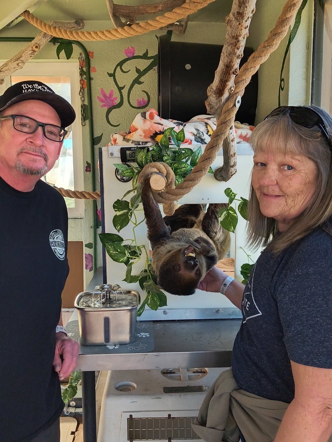 Beethoven, our sloth, was in great need of a new air conditioner. Tom and Bette Chmielewski came to the rescue and generously purchased one for him. Beethoven is now cool, comfortable, and happy! We are all incredibly grateful for their generosity—but Beethoven may appreciate it most of all.
#outofafricawildlifepark #outofafricawildlifeparkandsanctuary #KindnessMatters #sloths