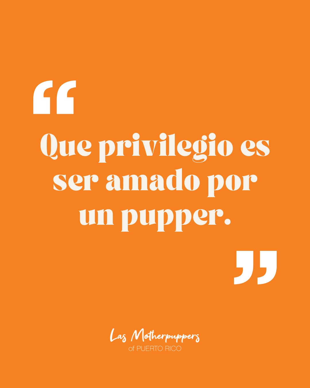 Que se nos llene la ropa de pelos, el celular de fotos y el corazón de amor. 🐶🧡
Porque ser amado por un pupper no tiene precio. 🐾
Cuéntanos: ¿cómo se llama el pupper que tiene el privilegio de amarte? 👇
#LasMotherpuppers #DogMomsofPR #PupperLove #DogMomLife #PuertoRico