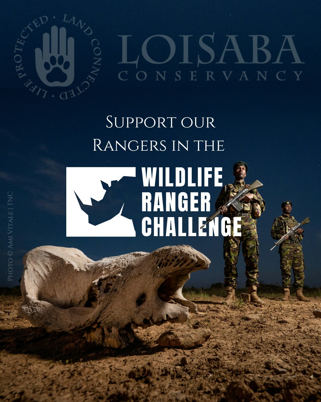 This September, Loisaba's ranger team takes on the 2026 Wildlife Ranger Challenge 🦏
Thanks to founding donor Mark Scheinberg, every donation raised for our team this year earns a guaranteed 25% uplift in matched funding, so your gift goes further from day one.
Follow their training over the next five weeks, and back them now, link in bio.
@tusk_org @gamerangersassociationofafrica @lionlandscapes #ForWildlifeRangers
#WildlifeConservation #SupportRangers #FundraisingChallenge #LoisabaRangers #MatchFunding #ProtectWildlife #NaturePreservation #WildlifeProtection