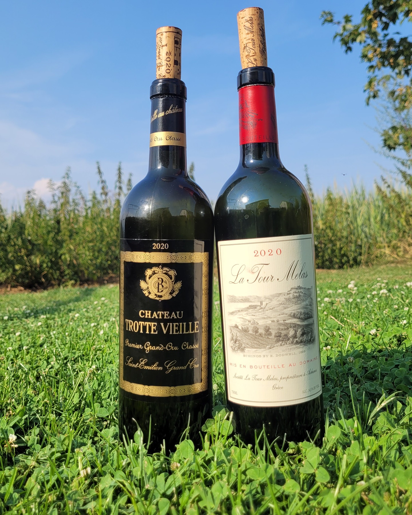 The Swiss banker never paid up. He might want to reconsider.
La Tour Melas 2020 vs Château Trotte Vieille 2020 – Fthiotida vs Saint-Émilion | both 95/100 🍷
Kyros Melas, businessman and Château Lafleur devotee, bet a Swiss banking colleague over dinner in Zurich that he could make a Greek wine to rival the Pomerol star. From 2000/2001 he planted French vines at Achinos in Fthiotida, a region with no established wine tradition. The banker never paid; French wines, he argued, age better. So I restaged the bet: the 2020 – 60% Cabernet Franc, 40% Merlot, just 4,700 bottles – against a Premier Grand Cru Classé from Saint-Émilion. The duel runs in the family: in 2024 I put the 2019 La Tour Melas (@latourmelas), at five years, against Château La Gaffelière 2019 – 94 points then.
2020 flattered both regions. On Bordeaux's right bank it counts as the classic of the 2018/2019/2020 trio: 55 days of summer drought, turned into concentration rather than stress on the water-retaining limestone-clay soils. In Central Greece, 2020 is regarded as an exceptionally fresh year – moderate weather, phenolic ripeness with acidity intact.
One expectation gets flipped here: the Greek is the pricier bottle – €119 in Germany against roughly €90–108 for the Bordeaux. In the glass, the Trotte Vieille (@chateautrottevieille), half Merlot, half Cabernet Franc, is a powerhouse on the nose – you drink against a wall of density – yet on the palate more dense than complex, with oxidative notes that make me doubt a twenty-year window. The La Tour Melas counters with a beguiling floral nose, blackberry a notch above the 2019, grippy tannin that breaks a little too fast, then a smoky, sloe-tinged finish.
A bet worth restaging – and the makings of 96, 97, perhaps even 98 are clearly there for future vintages. For now, 95/100 for both: on quality a dead heat!
Full notes in our database – link in bio.
Would you have paid up? 👇
#GreekWine #CabernetFranc #Fthiotida #SaintEmilion #Bordeaux