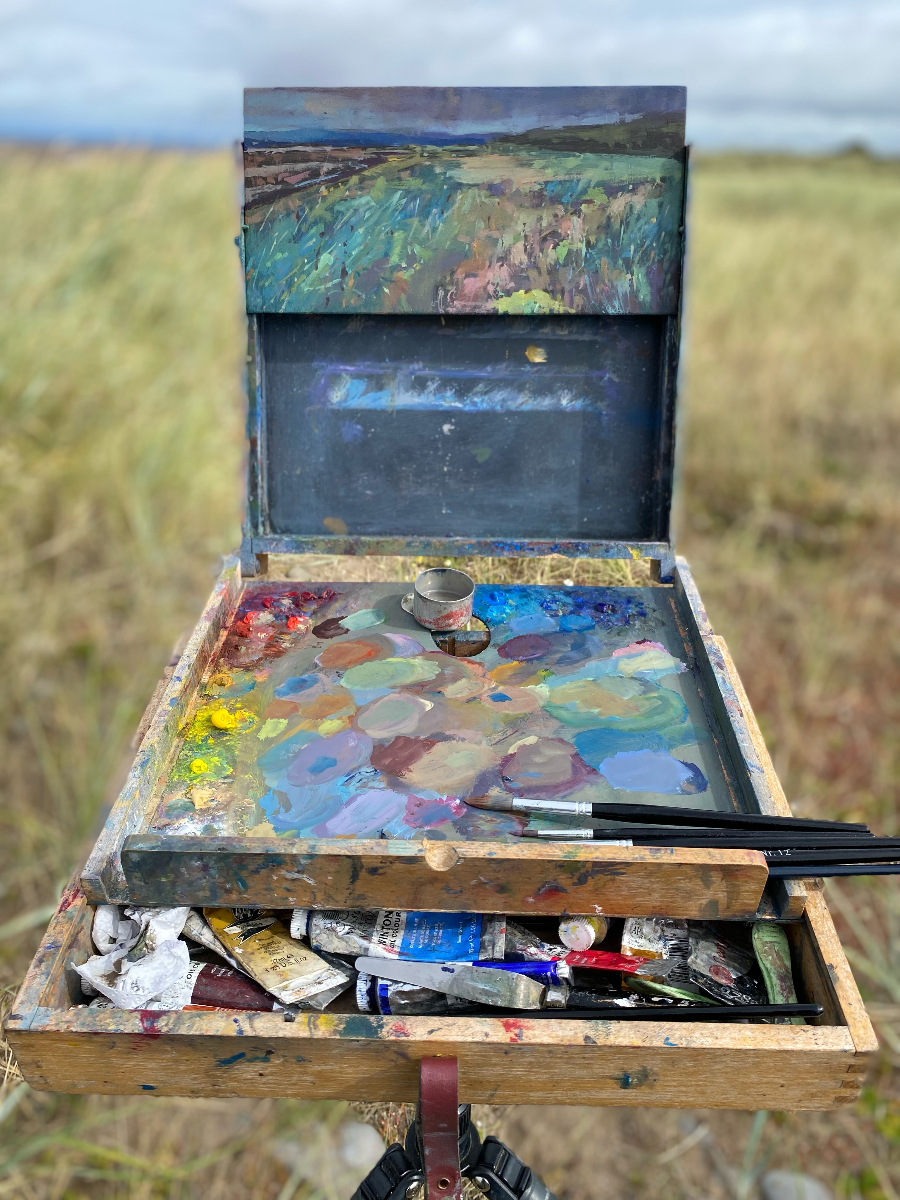 This mornings painting in the dunes near Beckfoot, the light changing under a blustery sky with the threat of rain but none came this time. A strip of blue so magical in the distant horizon kept intensifying, then softening.