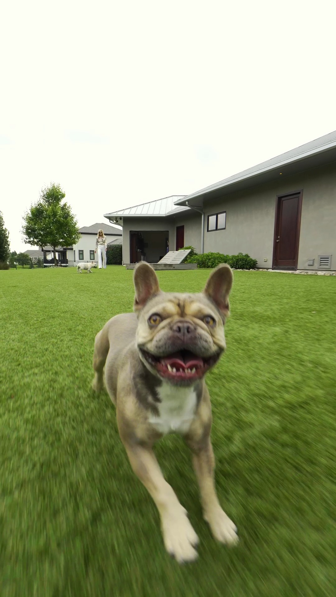 🐾 BOW WOW WOW!!! 🦴
No detail was overlooked in this luxury home, including a specially designed dog spa and dedicated outdoor space created with four-legged family members in mind. A significant investment went into making this more than an afterthought; it’s a purposeful part of the home designed for their comfort, care, and plenty of room to play (and even swim) if they want! 🐕 🐩
Because luxury living includes your best friends, too. Because when you’re building an exceptional home, the fur babies deserve a few upgrades of their own. 🐶❤️
Call Heather for a private tour today! 913.269.5455
🔗 Visit link in bio for home details.
#LuxuryLiving #DogSpa #PetFriendlyHome #LuxuryRealEstate #KansasCityRealEstate #KoehlerBortnickTeam