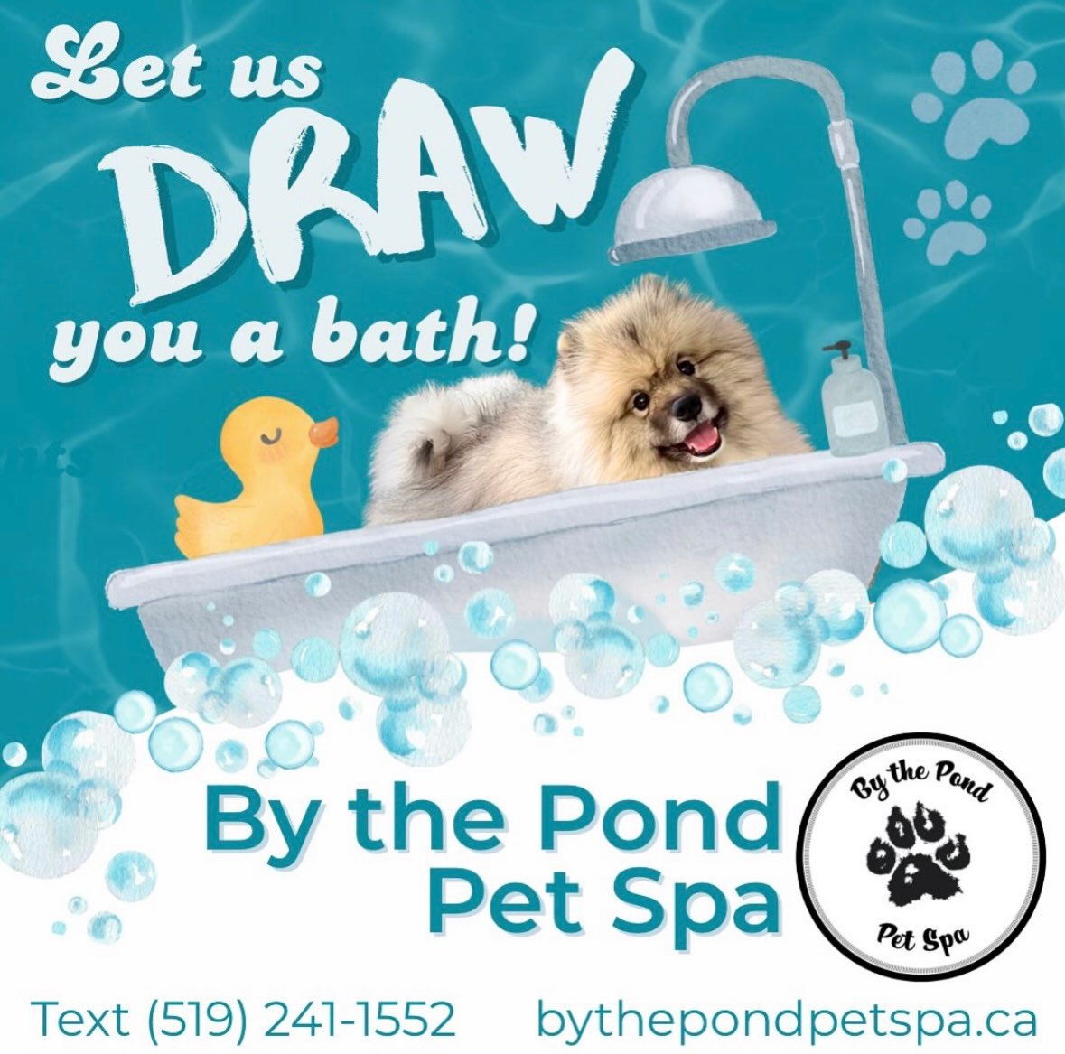 There’s nothing better than bath time—we can attest!
Book your pups first (or next!) groom at By the Pond Pet Spa today, text or call us: (519) 241-1552 📱🐩
#dogsofinstagram #doggroomer #doggroom #doggroomingsalon #cambridgeontario