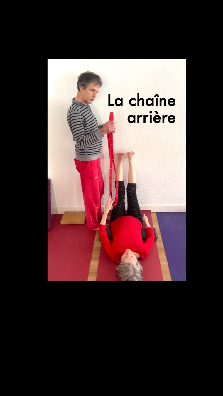 Pourquoi appliquer une charge précise sur la tubérosité du 5ᵉ métatarsien ? 🎯🦶
Sur cet extrait pris sur le vif lors d’un de nos stages immersifs de Yogathérapie posturale, le travail ne se résume pas à un simple étirement mécanique de la chaîne arrière. C’est une action neurologique et énergétique directe.
🔑 La clé: le point V64 (Vessie 64-Jinggu)
Situé au niveau de la tubérosité du 5ᵉ métatarsien, ce point clé est traditionnellement nommé le maître de la hanche. En appliquant un appui manuel ferme et orienté à cet endroit précis :
→On participe à libèrer les tensions profondes et réflexes du bassin.
→ On autorise l’allongement de la chaîne postérieure en limitant le déclenchement de sidération de défense.
Les deux règles de sécurité indispensables :
Éversion active du pied pour induire la rotation interne des fémurs et le manchonnage des rotules.
Refus strict du recurvatum : Le genou reste sous contrôle articulaire, sans jamais s’effondrer en hyperextension.
Maintien de la lordose : Une couverture sous les lombaires pour empêcher le bassin de basculer en rétroversion passive.
L’ajustement hands-on ne force rien : il donne au système nerveux l’information exacte pour lâcher la prise.
Hâte d’accueillir la nouvelle session dès la semaine prochaine pour ‘ jours d’immersion et d’expérimentation ! 🌿
#Yogatherapie #Biomecanique #ischiojambiers #Posturo #CathEtSergeYoga
