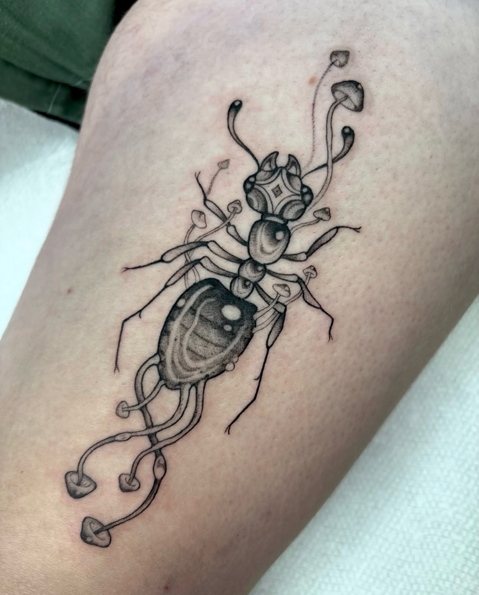 Cordyceps ant for Kate by @kopelovetattoo! Ariel’s always booking any flash found on her page, email us to set up an appointment if you find one for you!