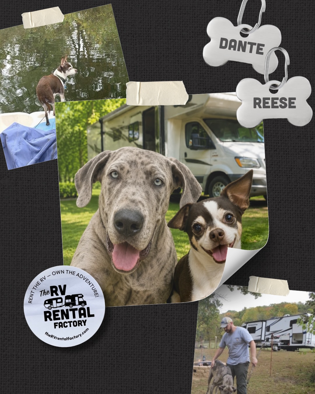 Happy National Dog Day to two of our favorite road dogs, Dante & Reese! 🐾🚐
Whether they’re riding shotgun, hanging around the campsite, or supervising the RV setup, these two know that every adventure is better with your best friend along for the ride. 🤎
Here’s to more treats, more tail wags & more miles together. 🦴🐶