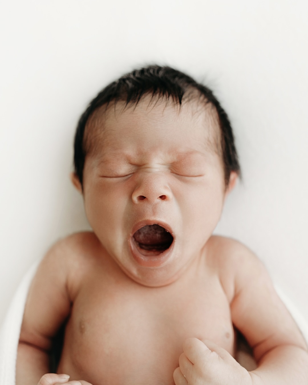 An adorable little guy and his oh so cute yawn. Theyβre so quick and babies usually yawn when Iβm moving them around so capturing one is π€ The sweetest! Alam, 12 days new π€
-
#brisbanefamilyphotographer
#brisbanenewbornphotographer
#brisbanematernityphotographer
#newbornphotography
#newbornphotographerbrisbane