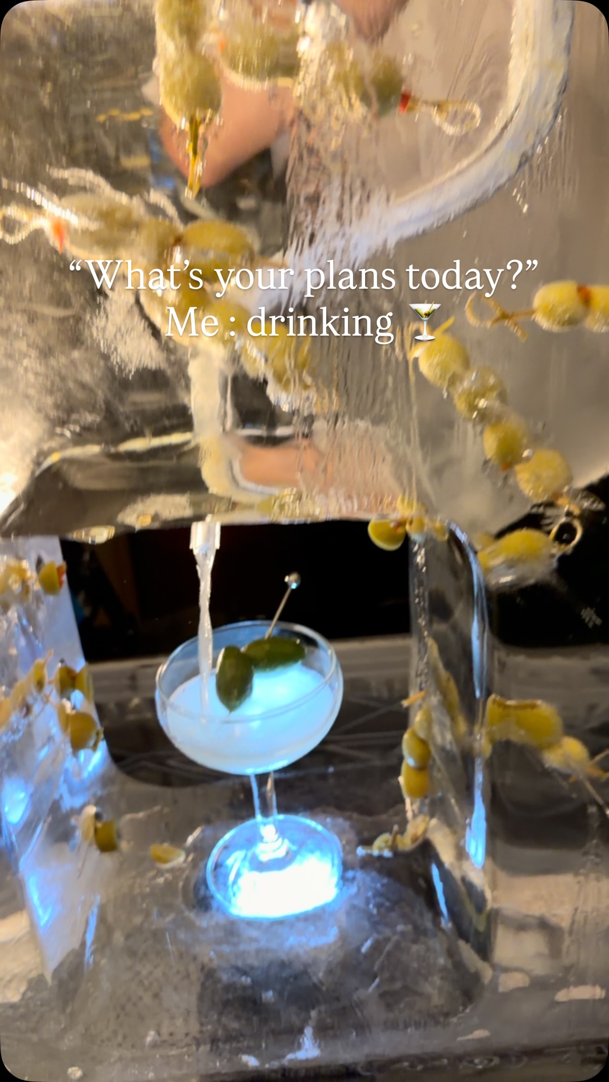 What’s your plans today?