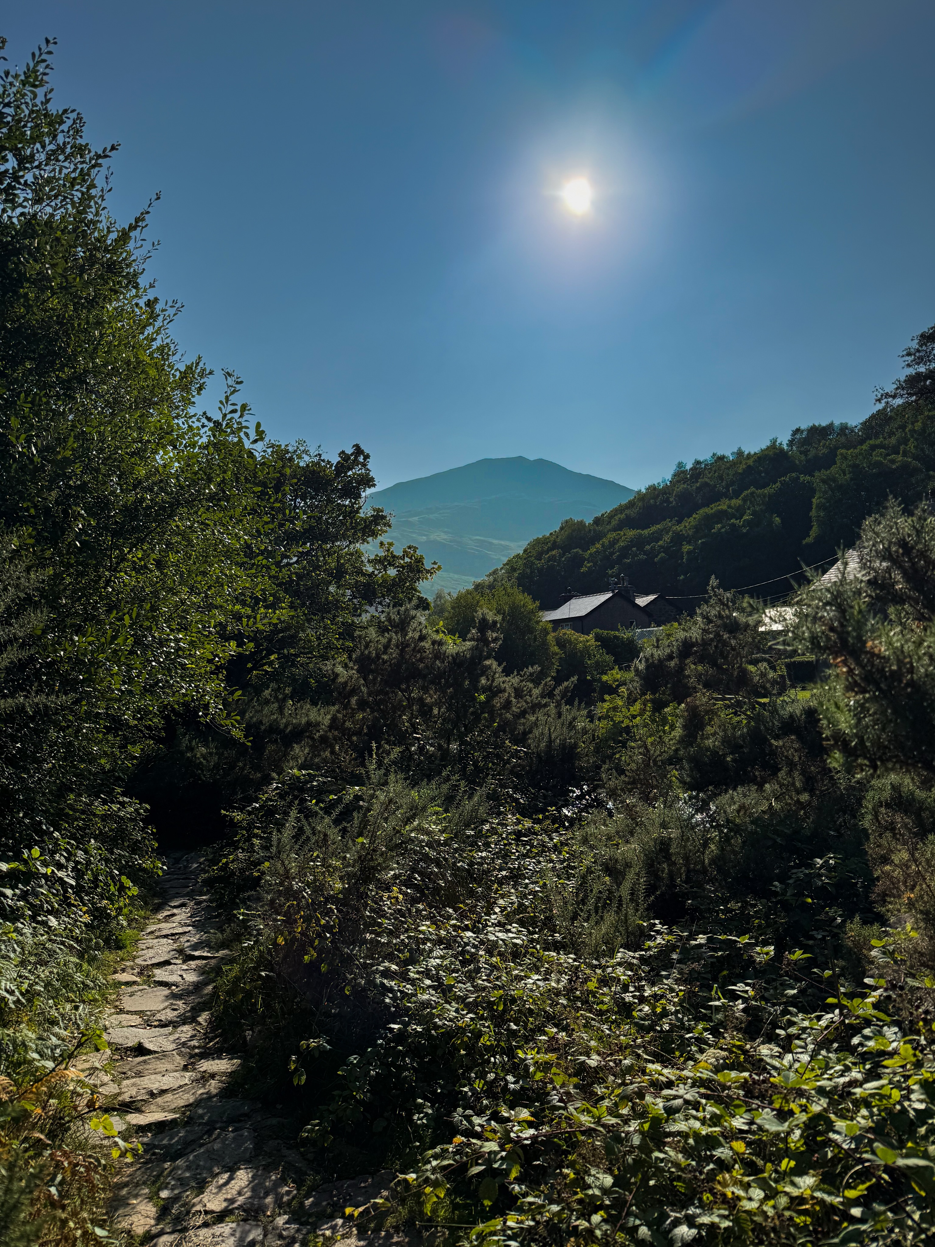 The temperatures have cooled, but the mountains are still dry, and wildfire awareness remains essential.
There’s something instinctive about seeking out green spaces, the idea of biophilia suggests that our connection with the natural world is more than preference; it is part of who we are.
A path through the trees. Sunlight on the hillside. A mountain appearing through the summer haze.
Time outdoors doesn’t need to be an expedition or a summit. Sometimes simply walking into a landscape is enough, slowing the mind, changing our perspective and reconnecting us with something beyond the noise of everyday life.
As you head outside, please help protect these places:
• Never light a campfire or barbecue in the countryside.
• Extinguish cigarettes completely and take them home.
• Avoid parking on dry grass, where hot exhausts can start fires.
• Take all rubbish home, including glass.
• Follow local fire-risk guidance and report any wildfire immediately.
Be vigilant
Cooler weather does not remove the risk. Stay alert, respect the landscape and help keep the mountains safe
#Biophilia #wildfire #OutdoorWellbeing #Mountains #eryri
