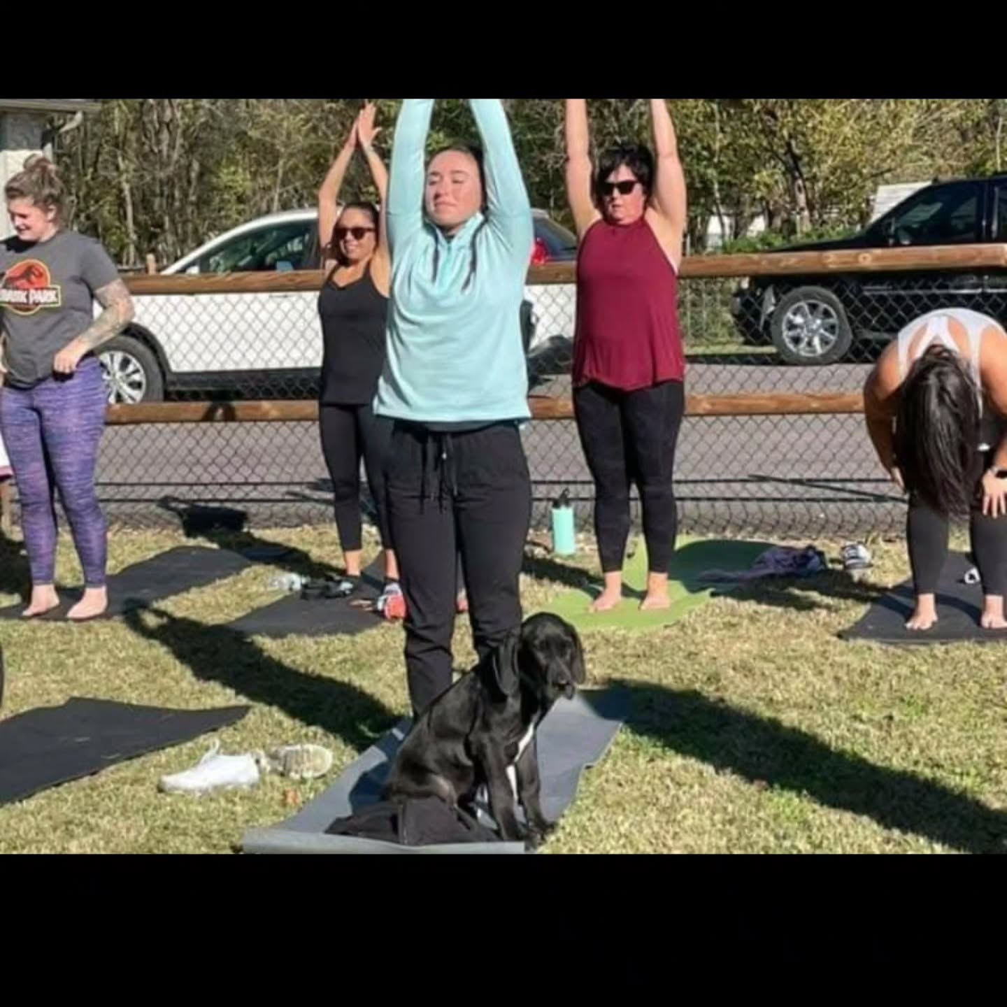 🐕 3 WEEKS UNTIL PUPPY YOGA! 🐕
RSVP on our Facebook event with @spacarok and @thetwistedlemonok
Tag your favorite yogi in the comments or drop a puppy pic!
🌱