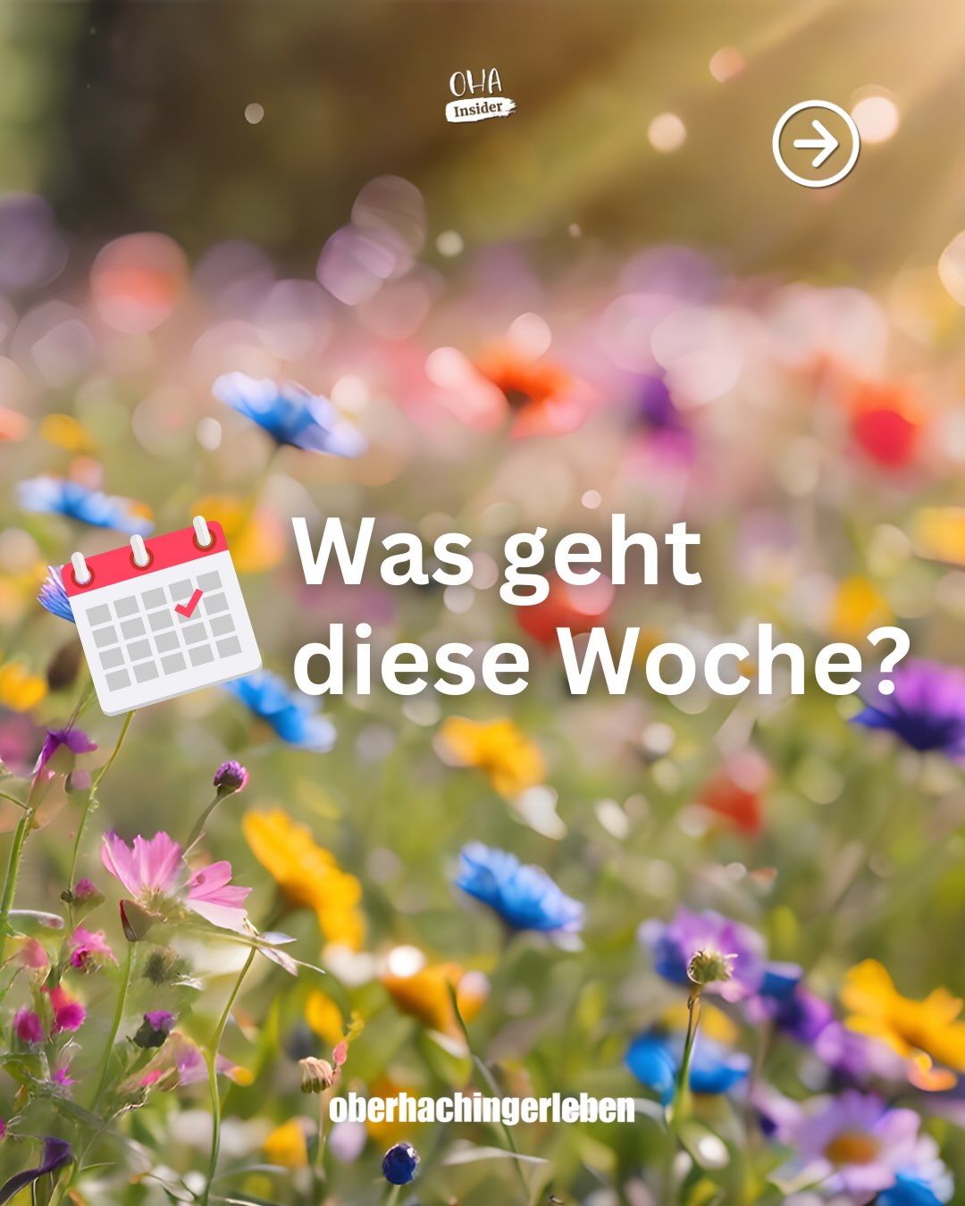 Montag, neue Woche, neue Möglichkeiten ✨
Wir wünschen euch einen guten Start in die neue Woche! Swipt euch durch unsere Slides und entdeckt, welche Veranstaltungen diese Woche in Oberhaching auf euch warten 👉
Schaut vorbei, es lohnt sich! 📍
#Oberhaching #GewerbeverbandOberhaching #NeueWoche #EventsOberhaching #WochenstartOHA
