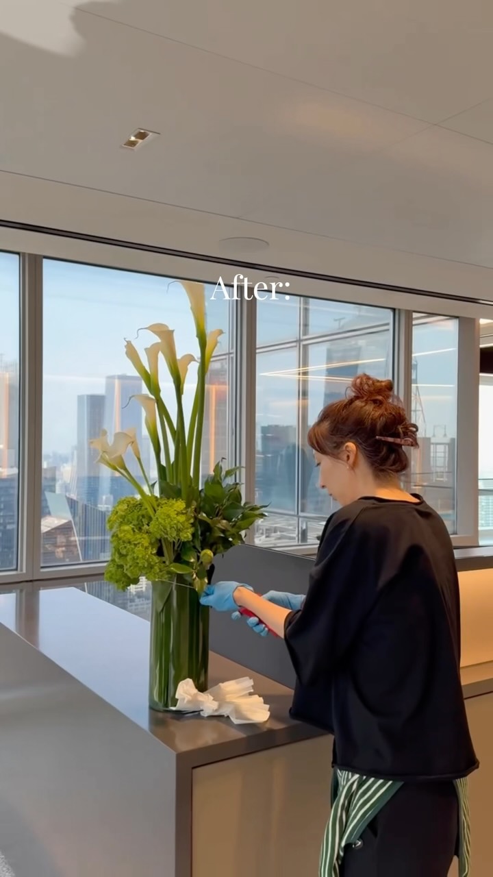 Before and after of weekly floral arrangement at @jpmorgan with Luxluf✨
We had so much fun creating summer refreshing floral designs for Morgan Stanley with giant calla lily and hydrangeas for whole building.
What else do you guys wanna see from our weekly flower arrangement?
#flowerarrangement #floraldesigns #hydrangeas #beforeandafter #weeklyflowers