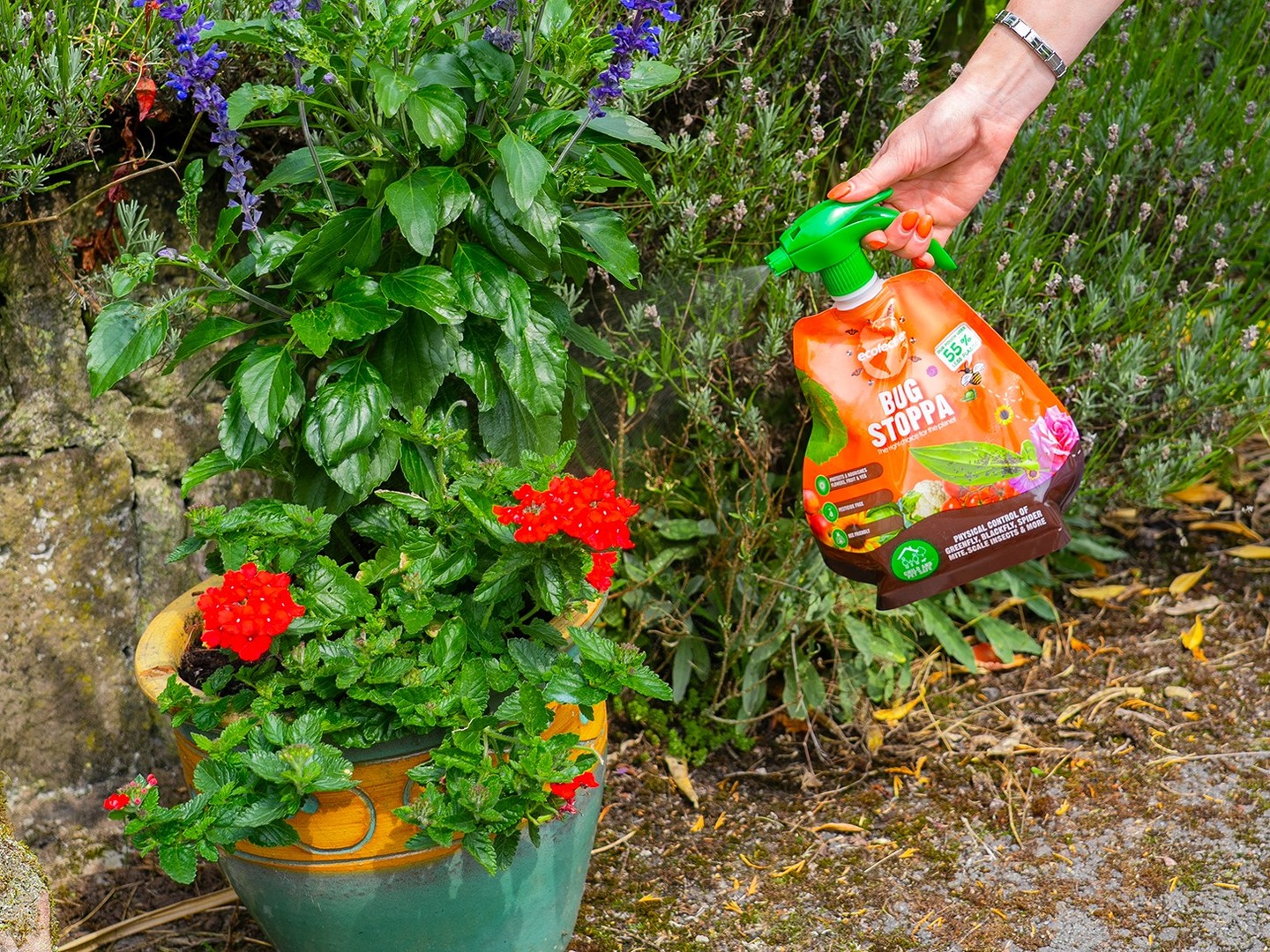 How do I stop spider mites getting to my plants? 🌱
Those tiny pests can cause big problems, but protecting your plants doesn’t have to mean using harsh chemicals. 💚
ecofective® Bug Stoppa is your gentle garden guardian, helping to create a protective barrier against unwanted pests like spider mites, while supporting healthier, stronger plants. 🌸✨
✅ Pesticide-free & non-toxic
🐶 Safe for children and pets
🦋 Wildlife friendly and eco-conscious
Spray on peace of mind because effective pest protection shouldn’t come at nature’s expense. 🌍🌱
Shop today via link in our bio🔗
#Ecofective #BugStoppa #SpiderMites #WildlifeFriendly #EcoGardening