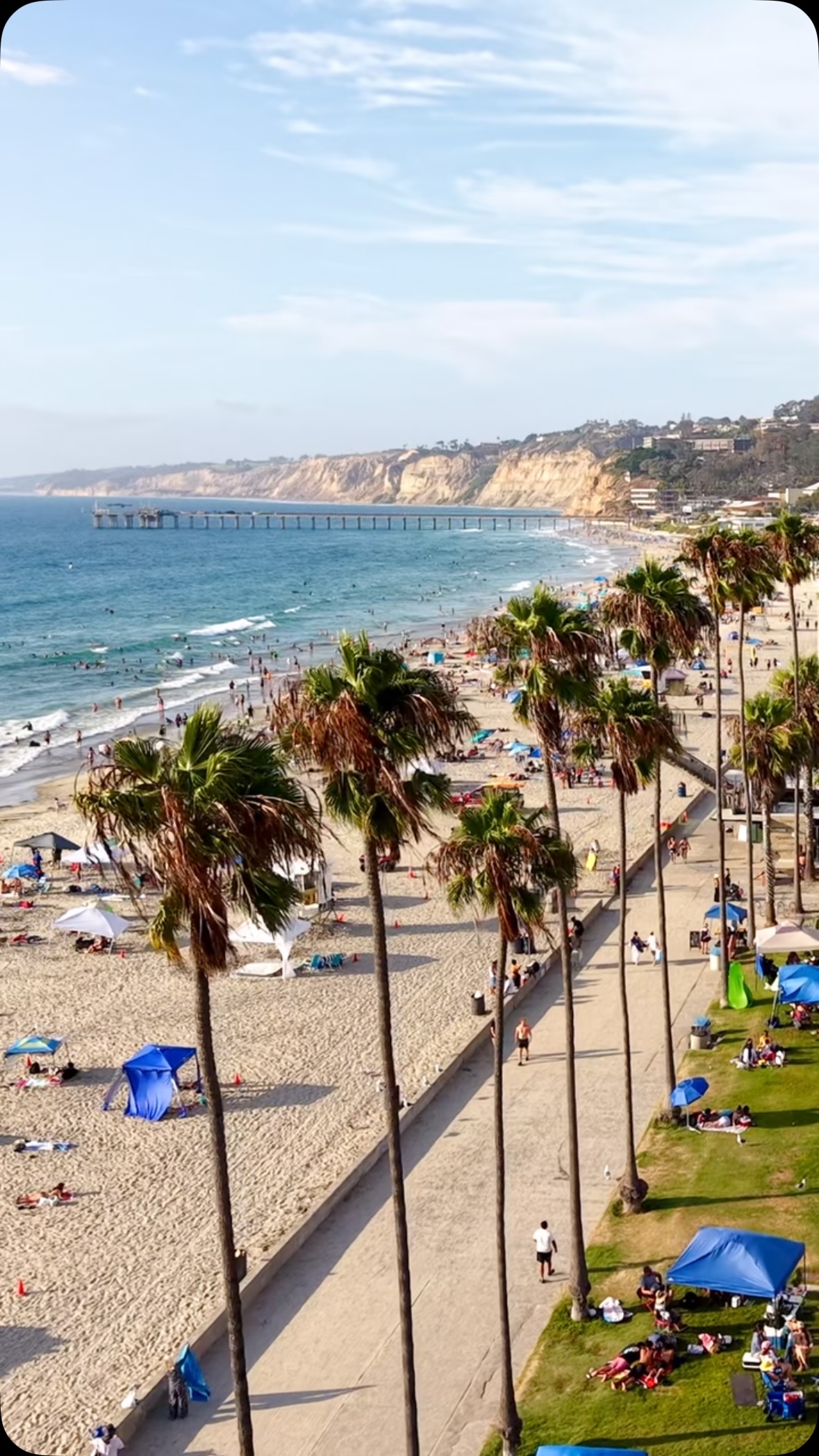 La Jolla showing off again 🤩
📍La Jolla Shores
#lajollashores #graydreaming #lajollabeach #californiacoast #sandiegohiddengems