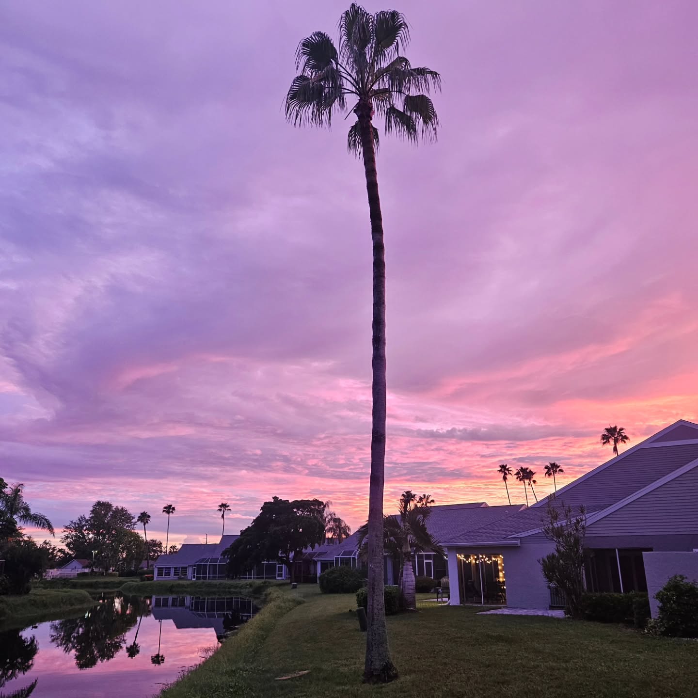 Sunset tonight