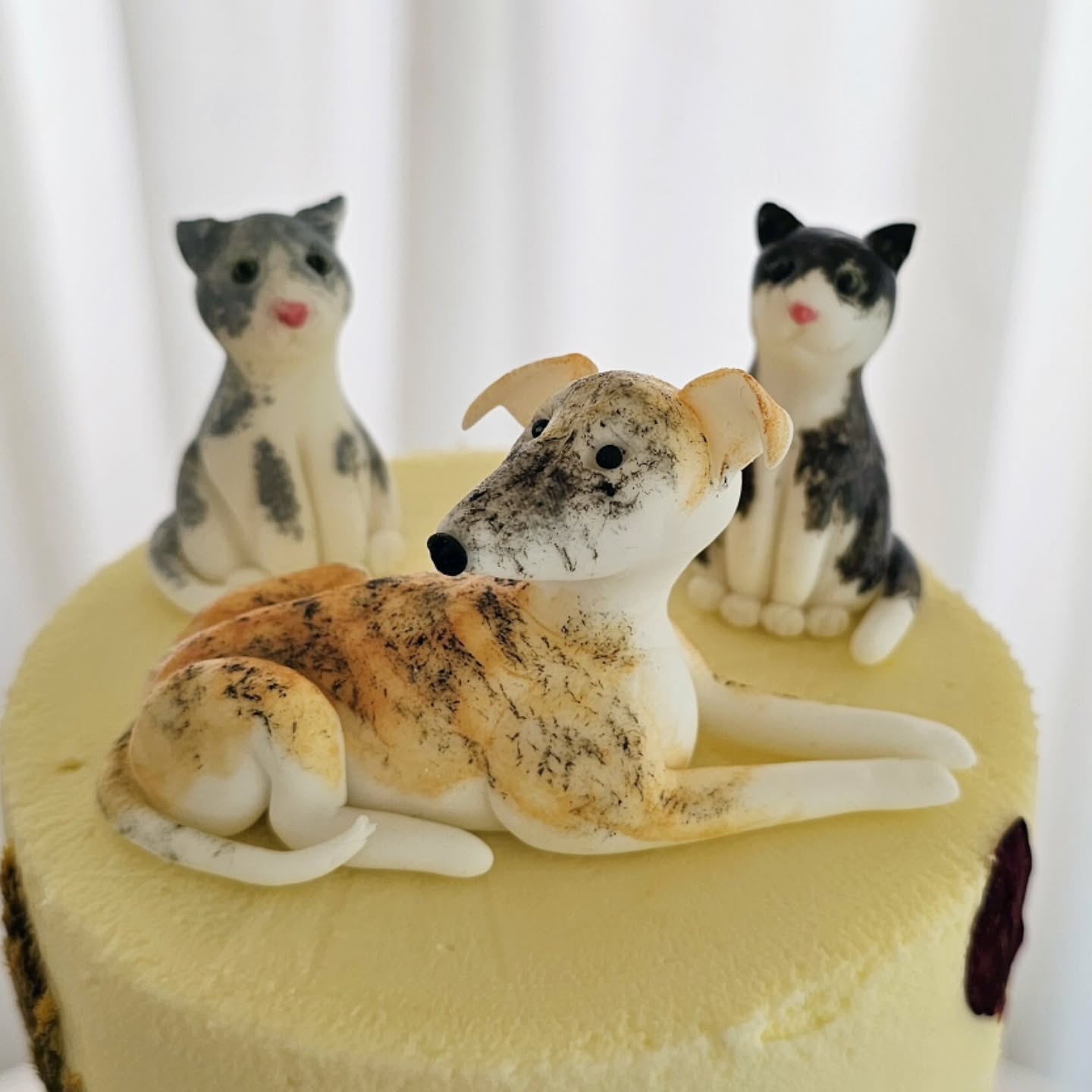 Bringing your pets to the wedding ๐๐๐