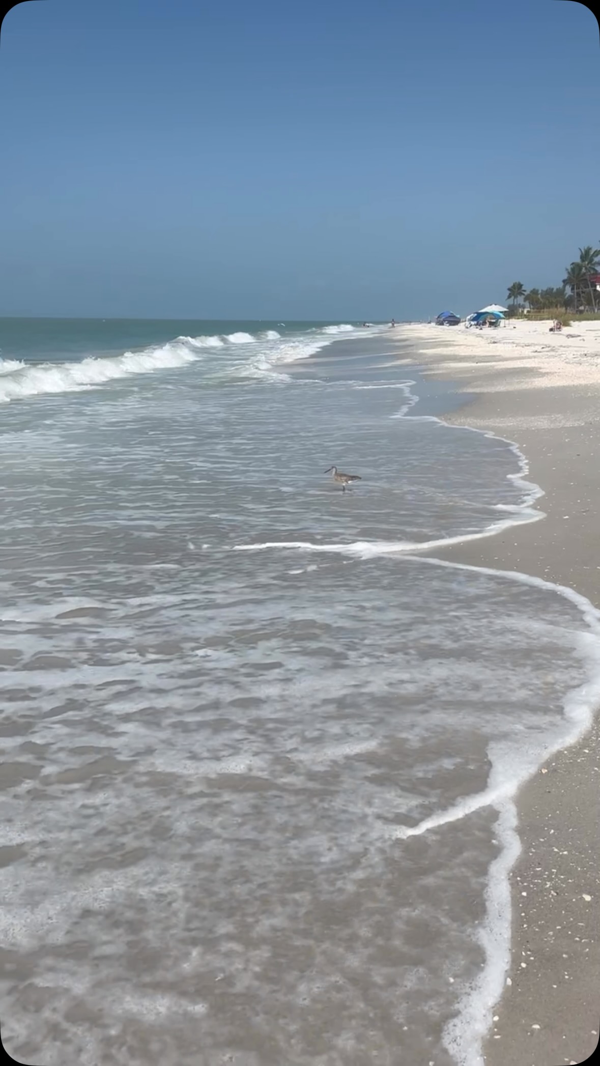 Here’s your Friday afternoon reminder as you head into your weekend:
You are not behind.
You are not required to have all the steps figured out.
Most importantly your worth is not measured by how much you accomplished this week.
You are enough.
Right here.
Right now.
Breathe…
Meet you by the shoreline 🌊
- Ro 💙
www.coachingbyro.com
#centeredbythesea #worthiness #midlifewomen #timeforme #oceaninspired